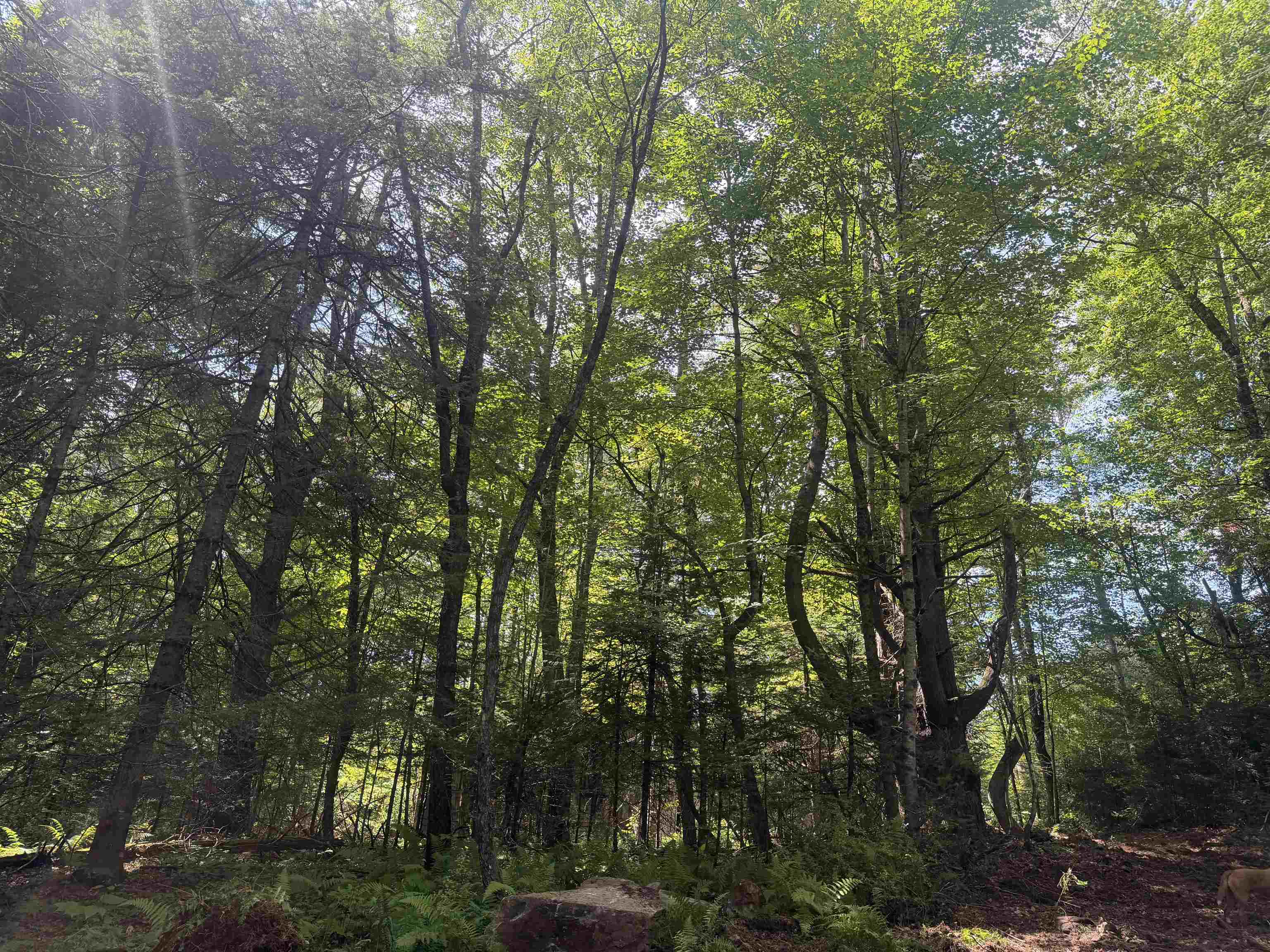 168 Old Walker Hill Rd, Littleton, NH 03561