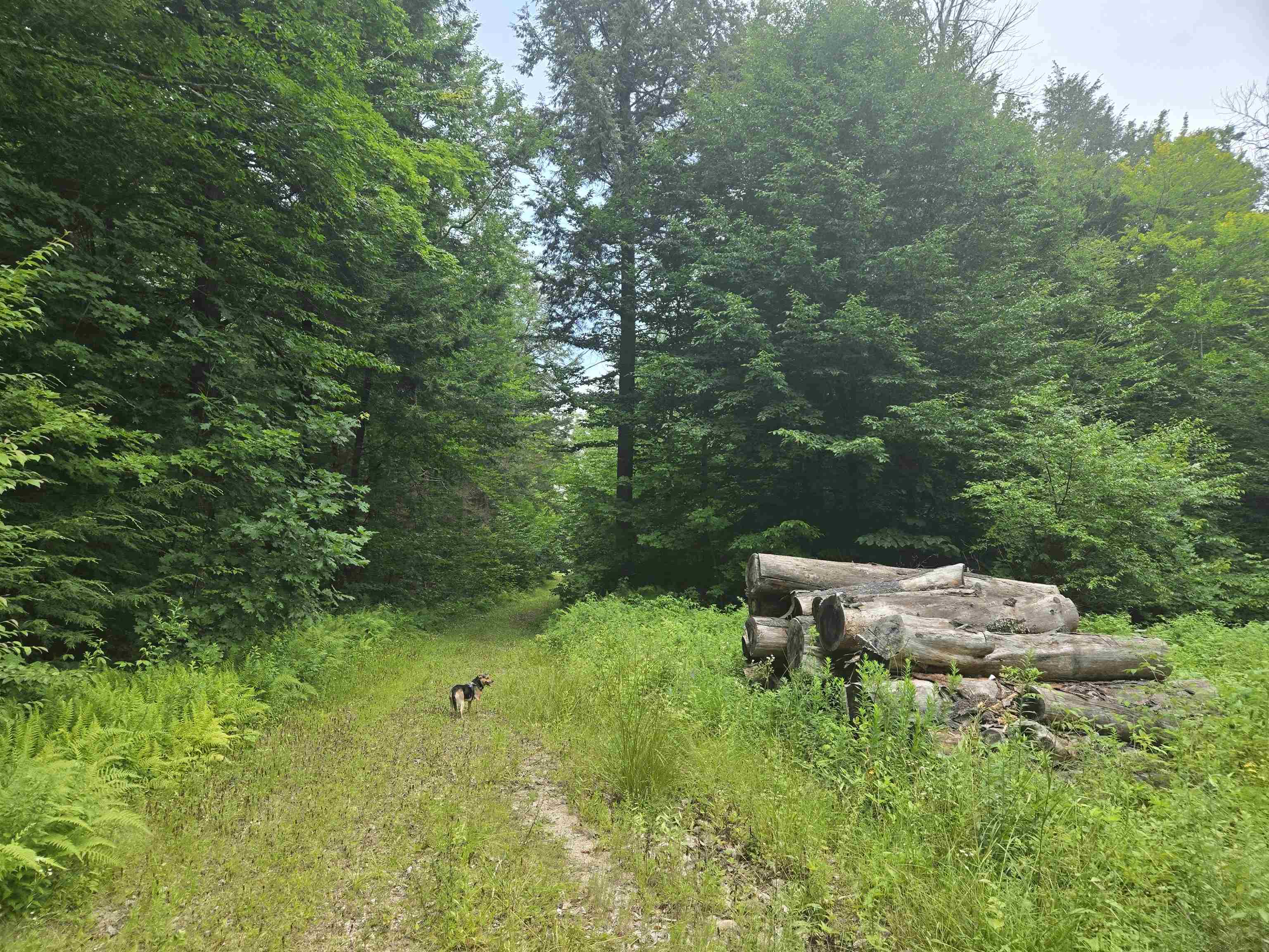 Lot 14 - 14.1 Brownfield Rd, Conway, NH 03813