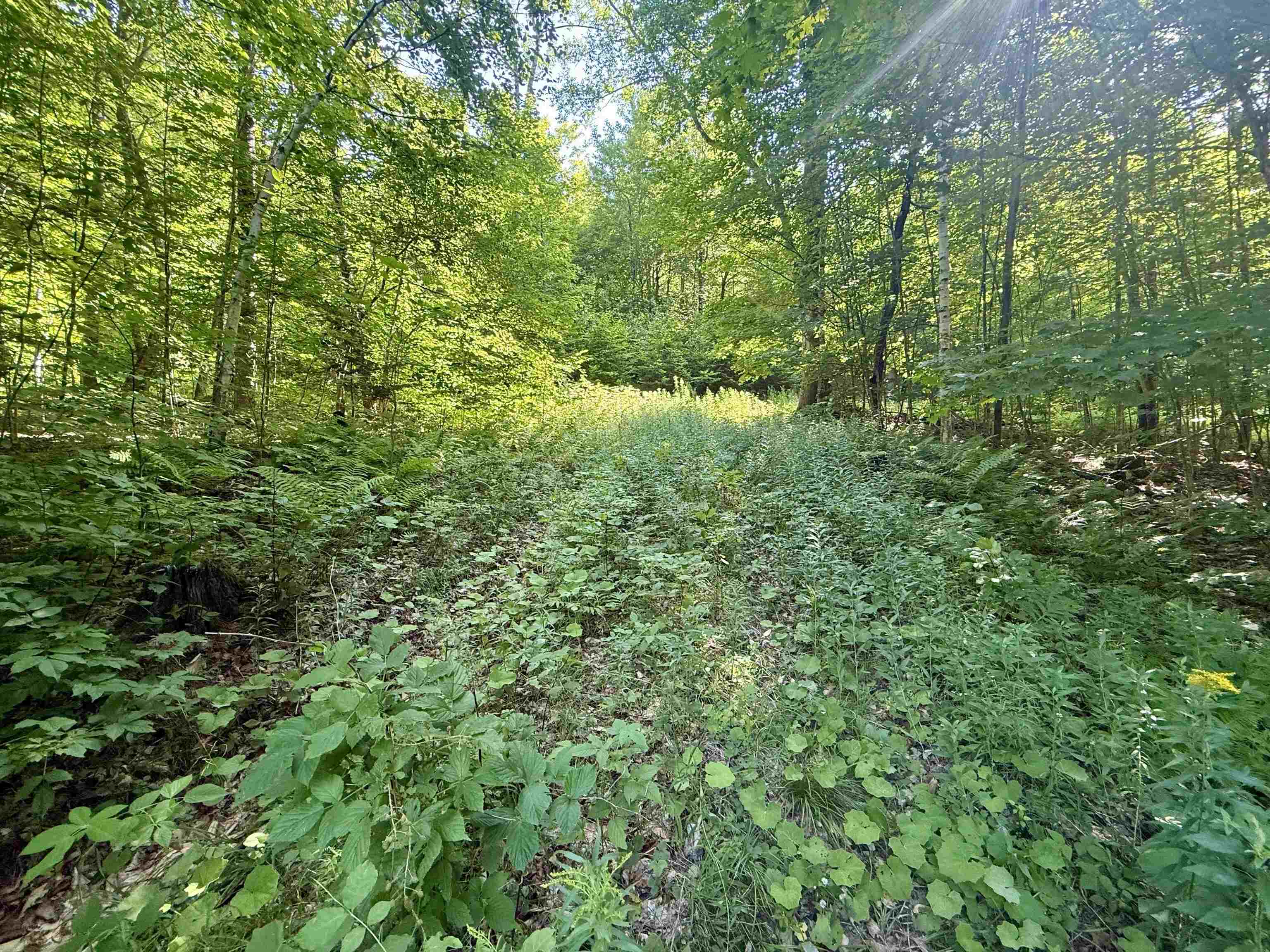 Old Farm Roads and Trails