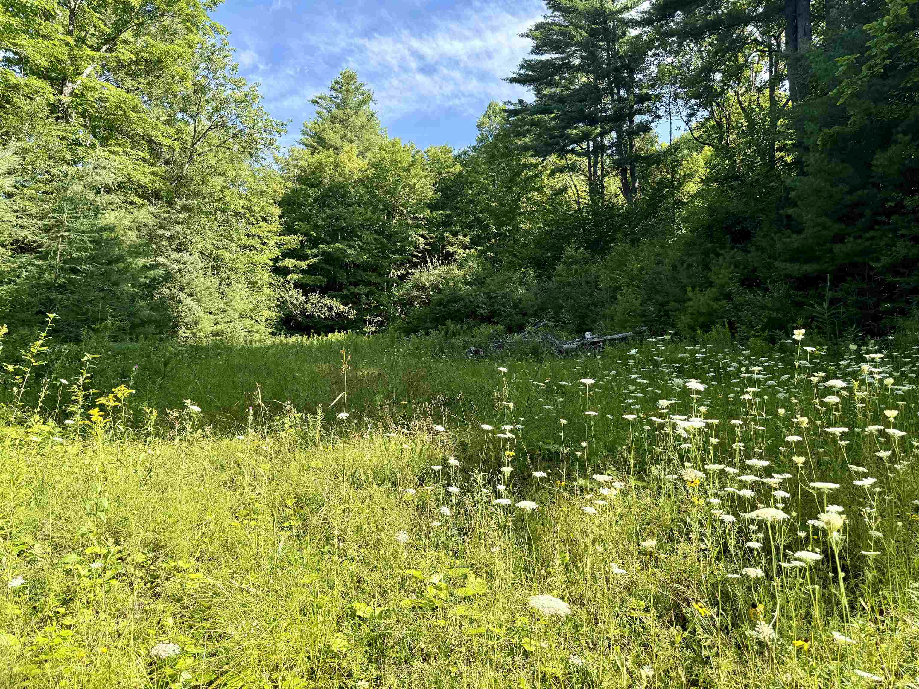 2 AC Homesite (Approx 47 AC Enrolled in Current Use)