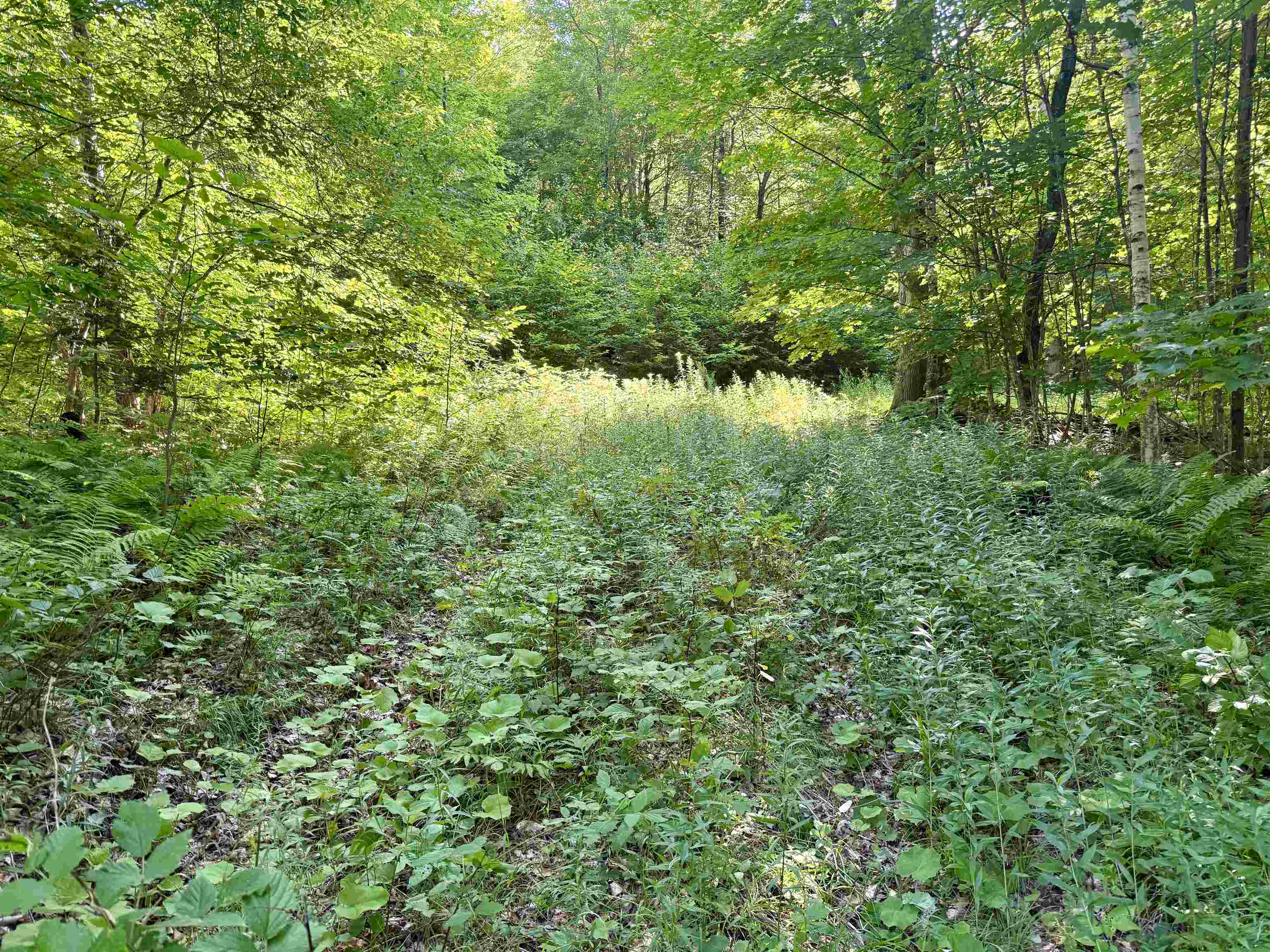 Old Farm Roads and Trails