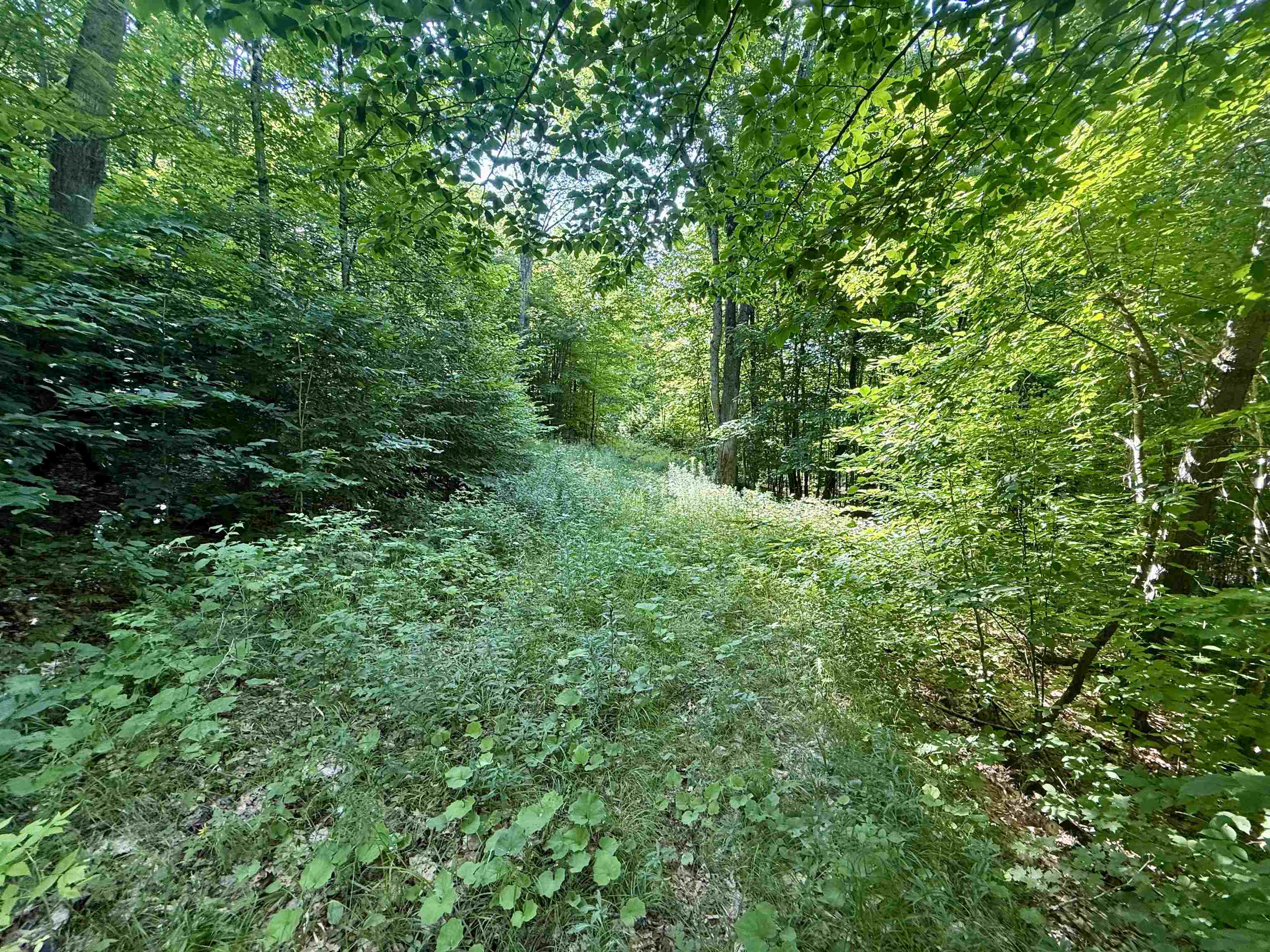 Old Farm Roads and Trails