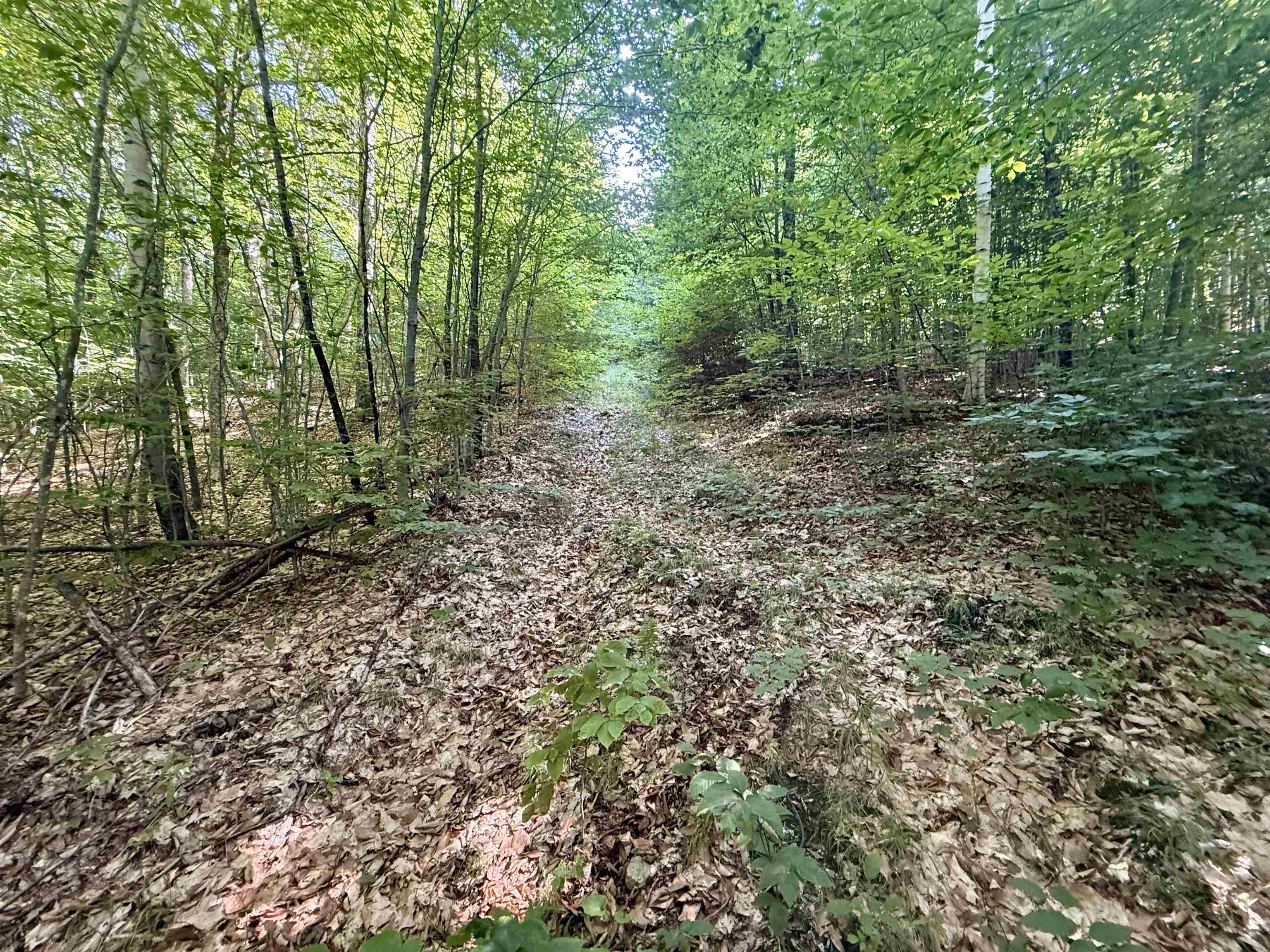 Old Farm Roads and Trails