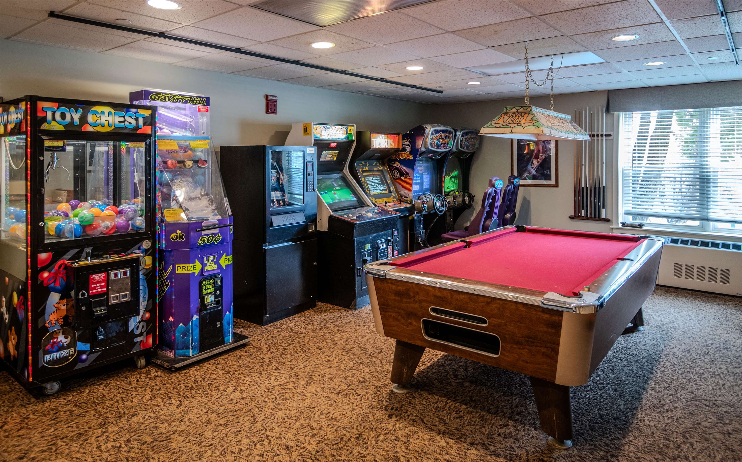 Fun for Kids and Adults!