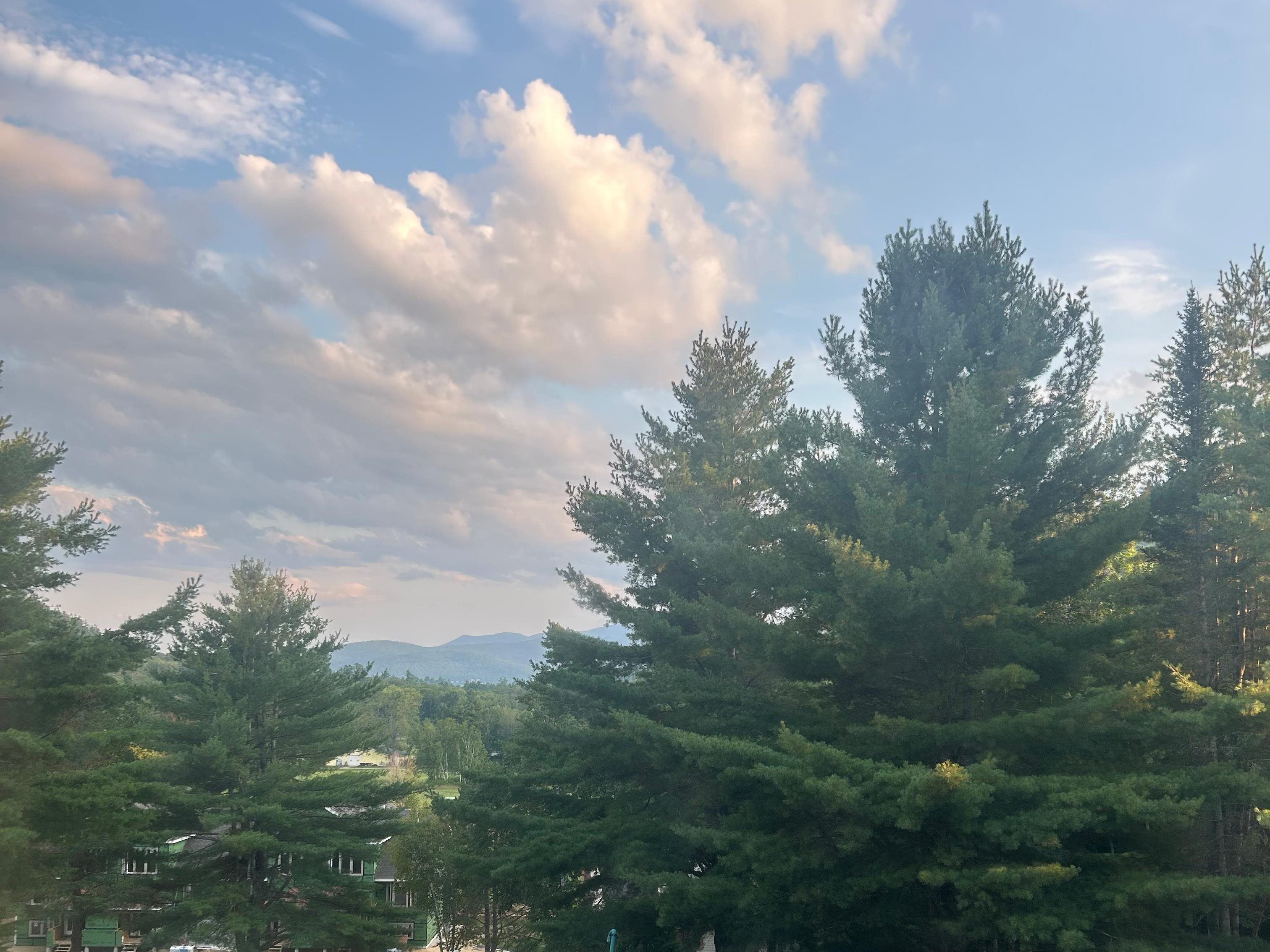 6A Fox View Ln #6A, Jackson, NH 03846
