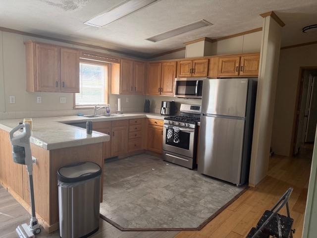 7 Kayla Drive, Belmont, NH photo 3
