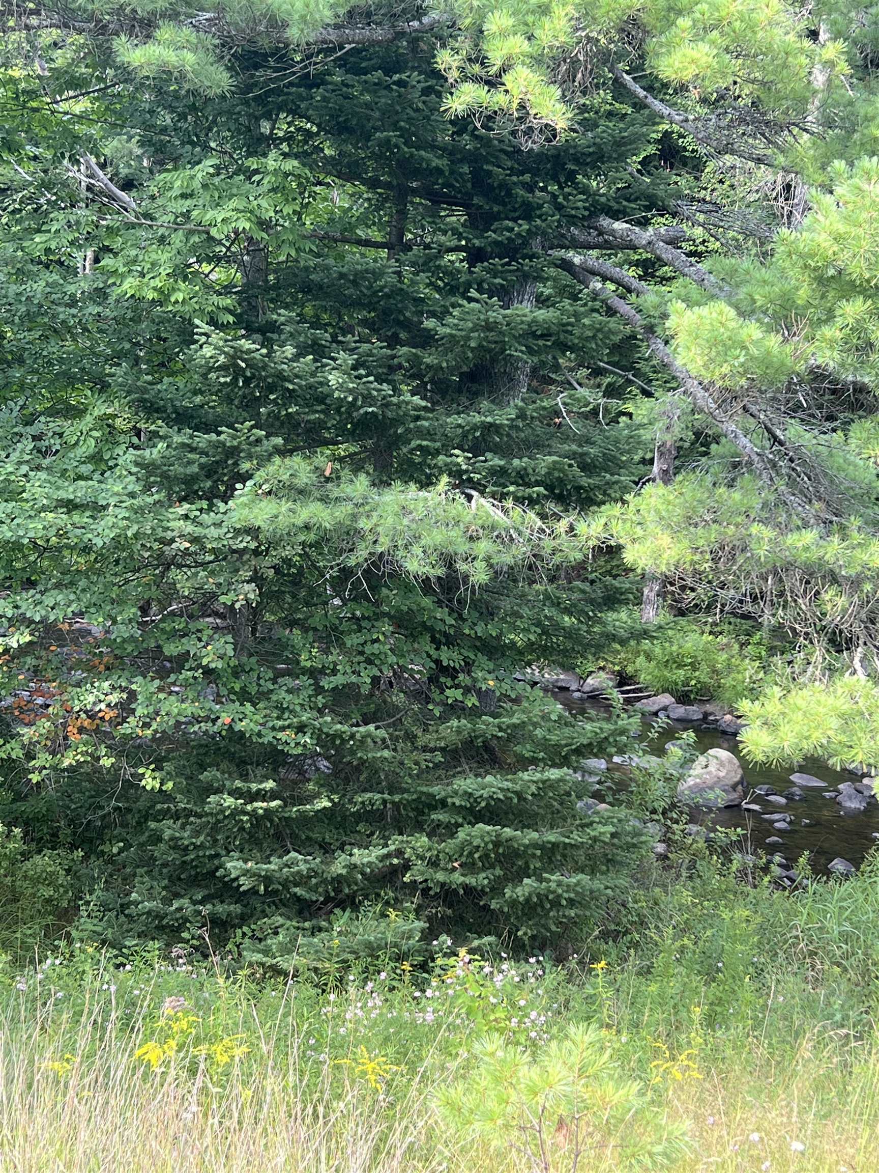 0 NH Route 4, Canaan, NH photo 5