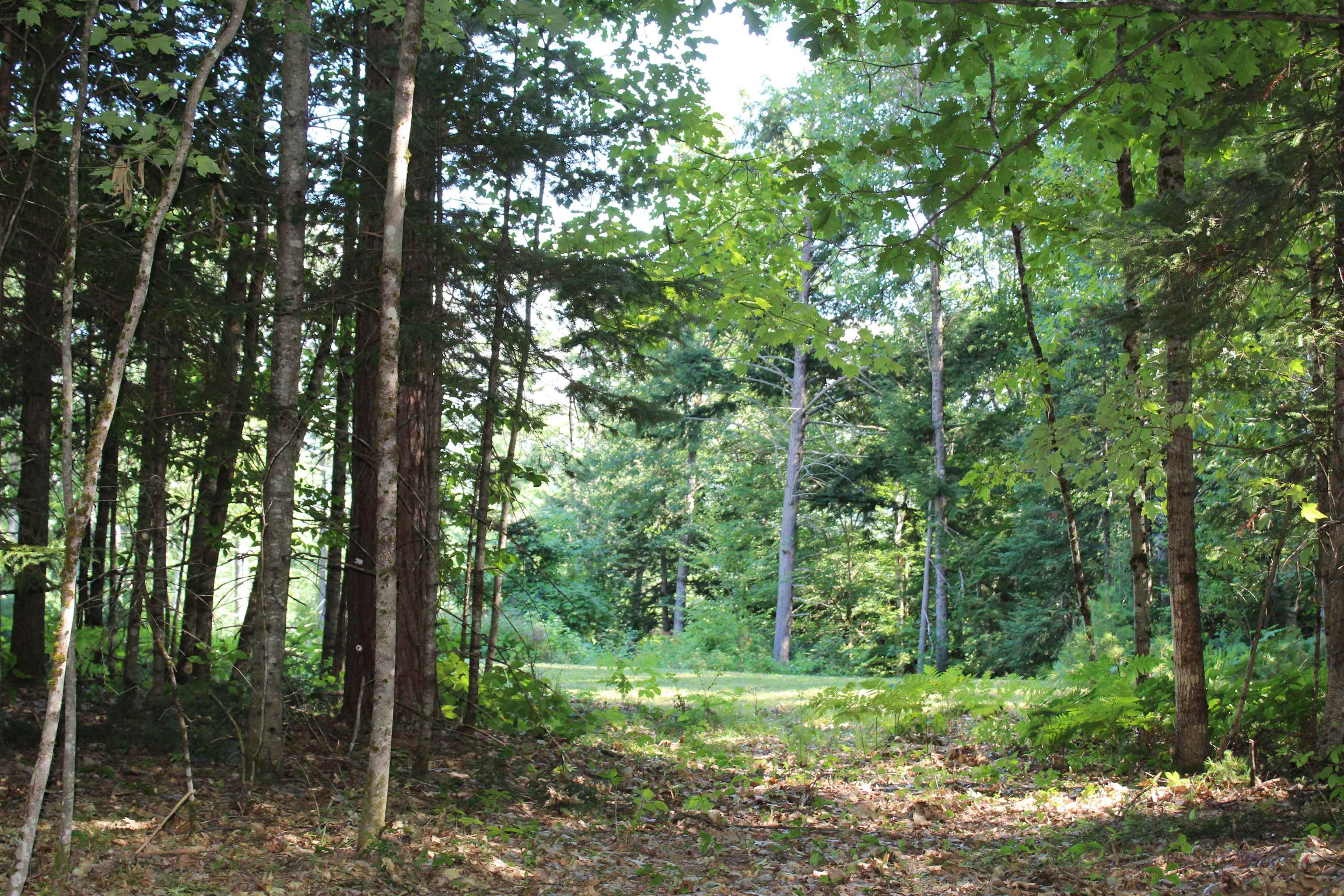 Trail