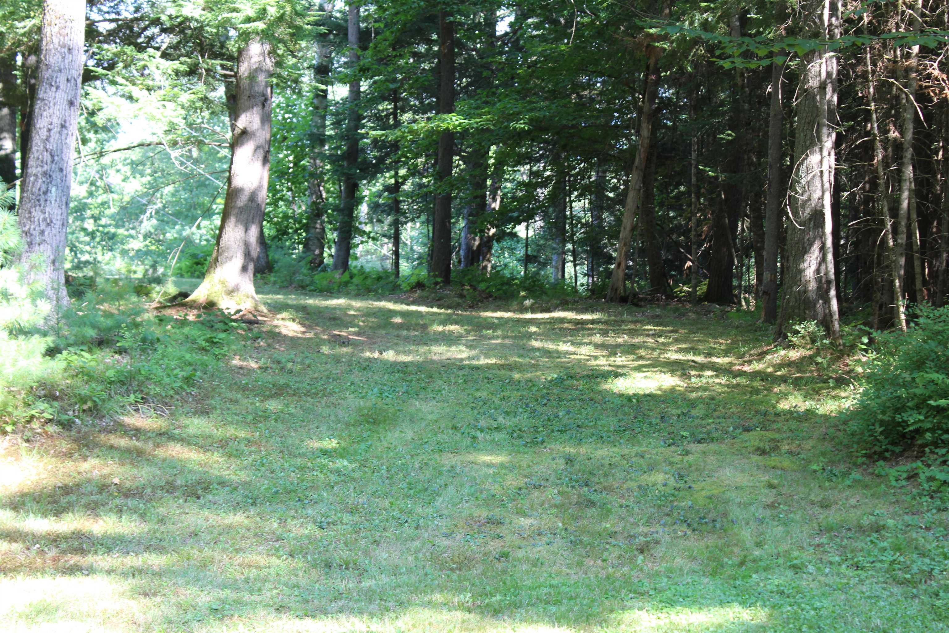 Trail