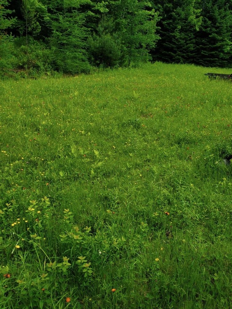 153 Garland Road, Lancaster, NH photo 4