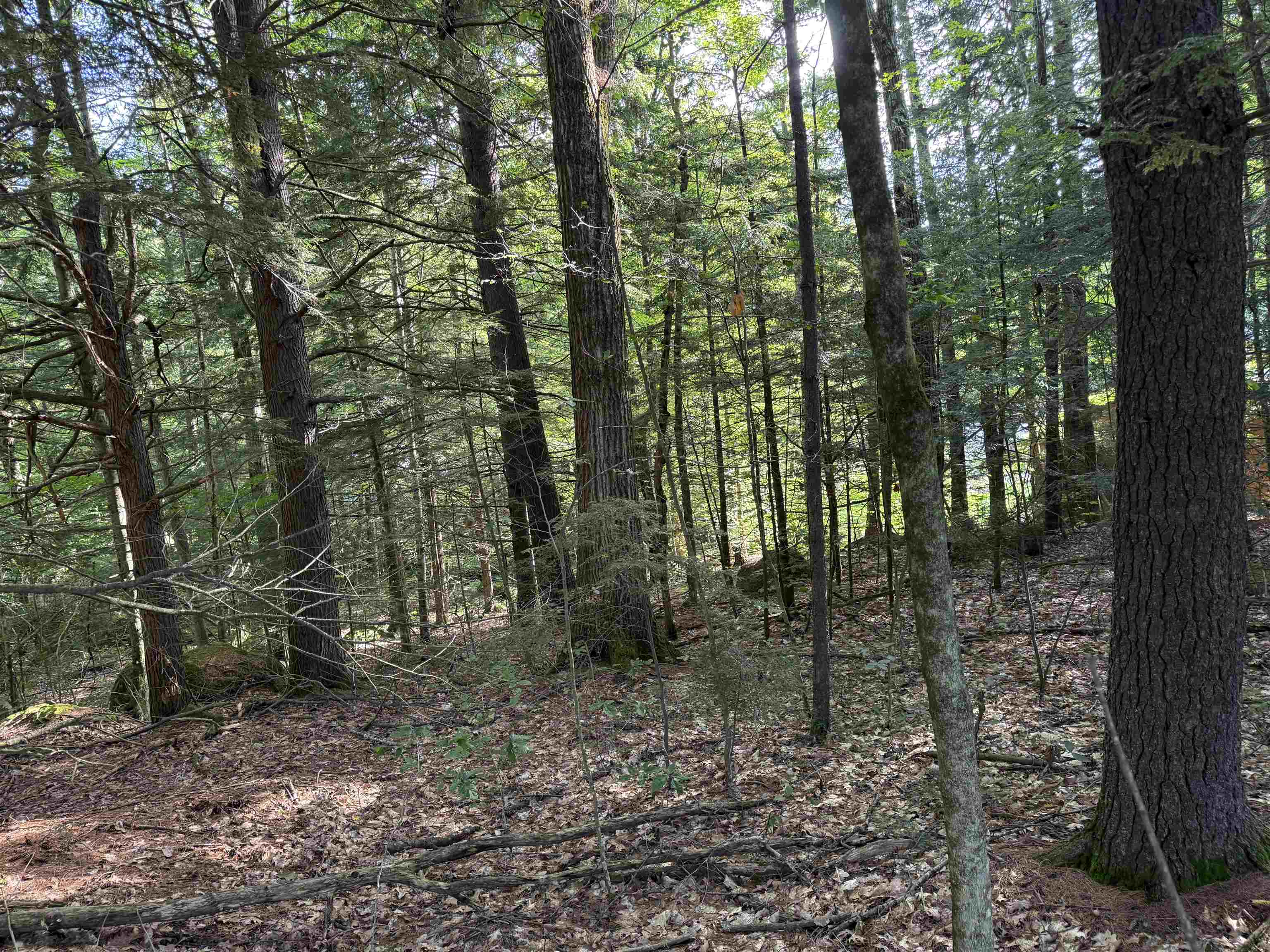 14-189 Seminole Rd, Hillsborough, NH 03244