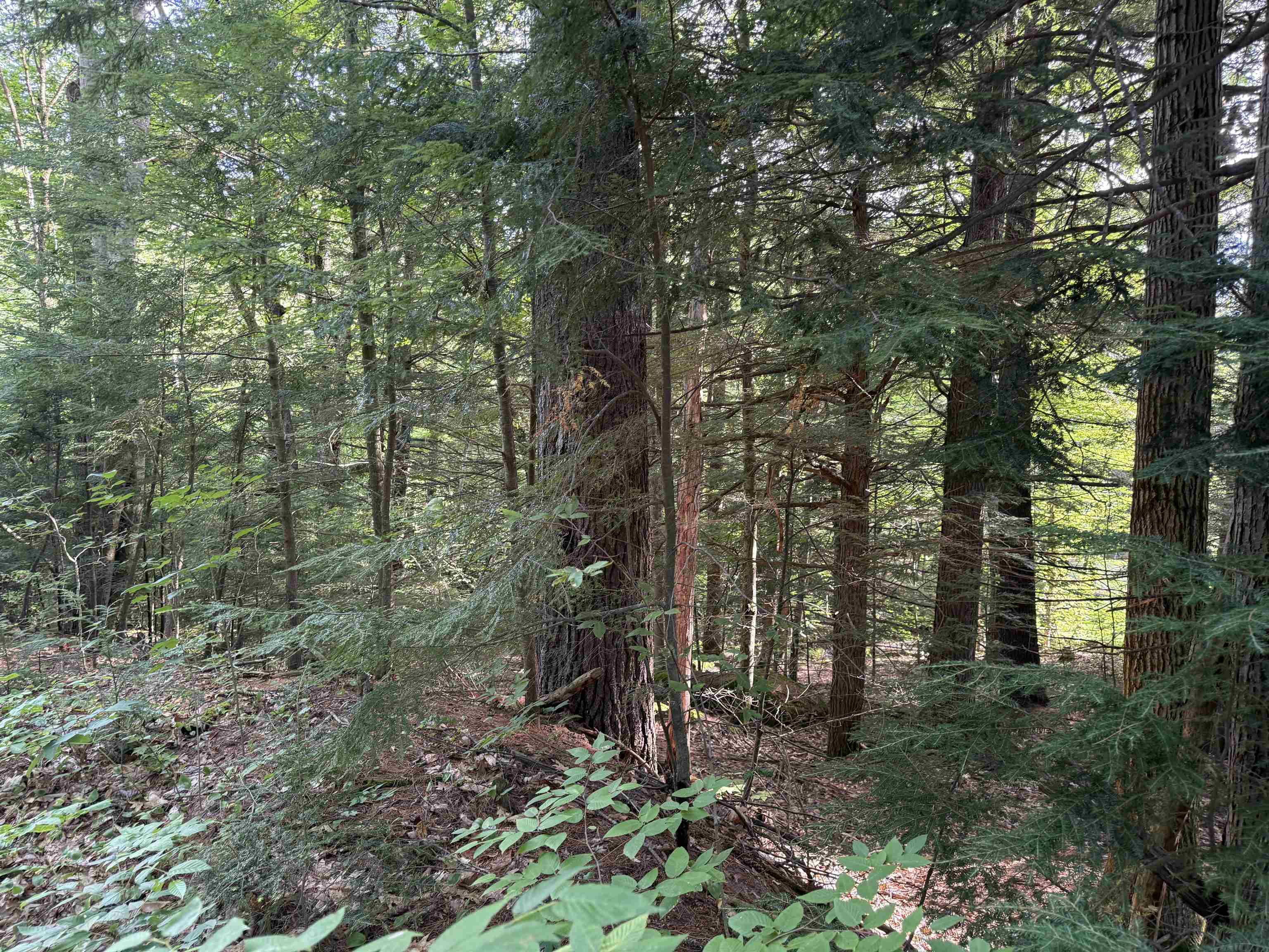 14-189 Seminole Rd, Hillsborough, NH 03244