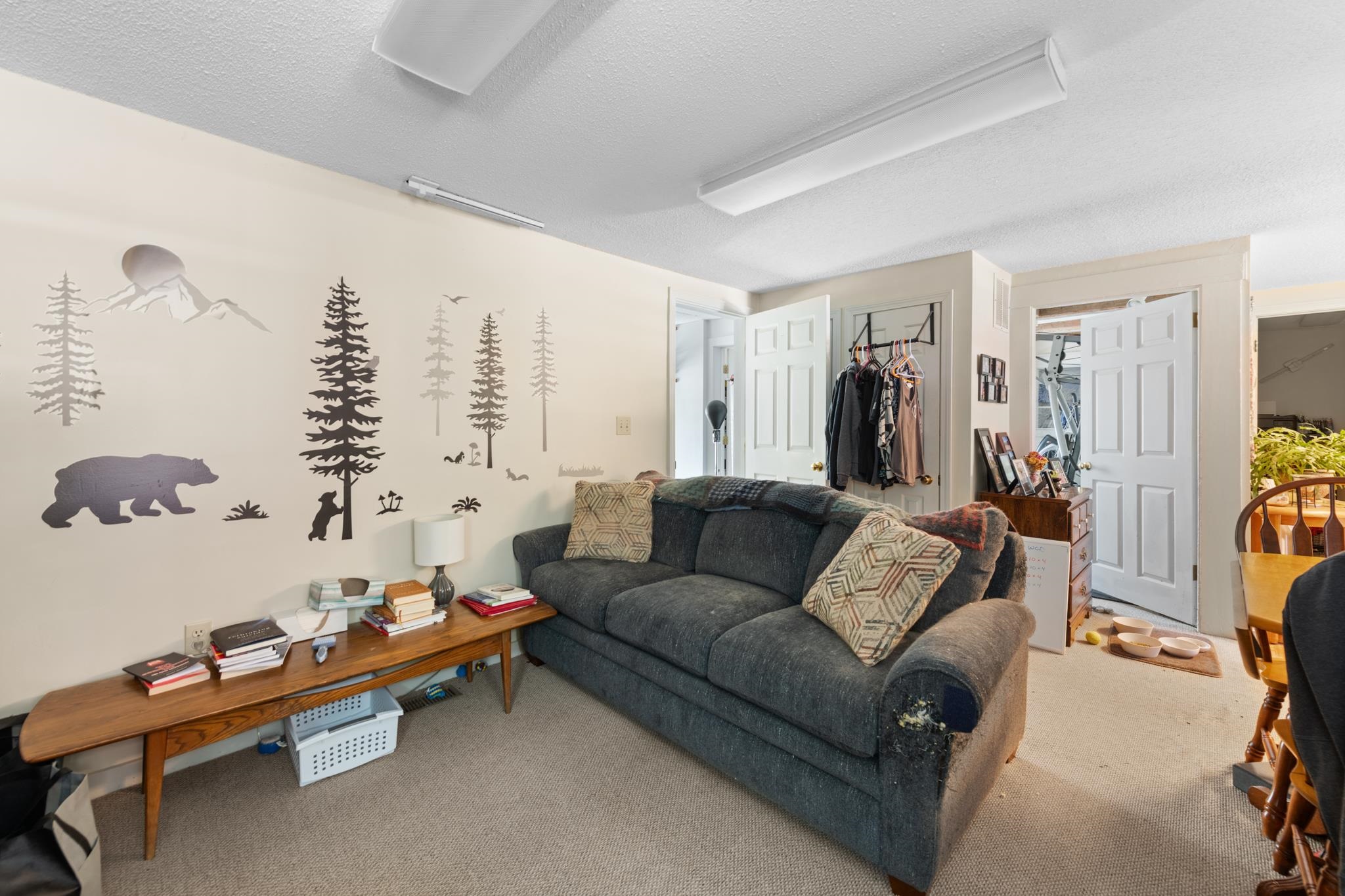 65 Summer St, Bristol, NH 03222