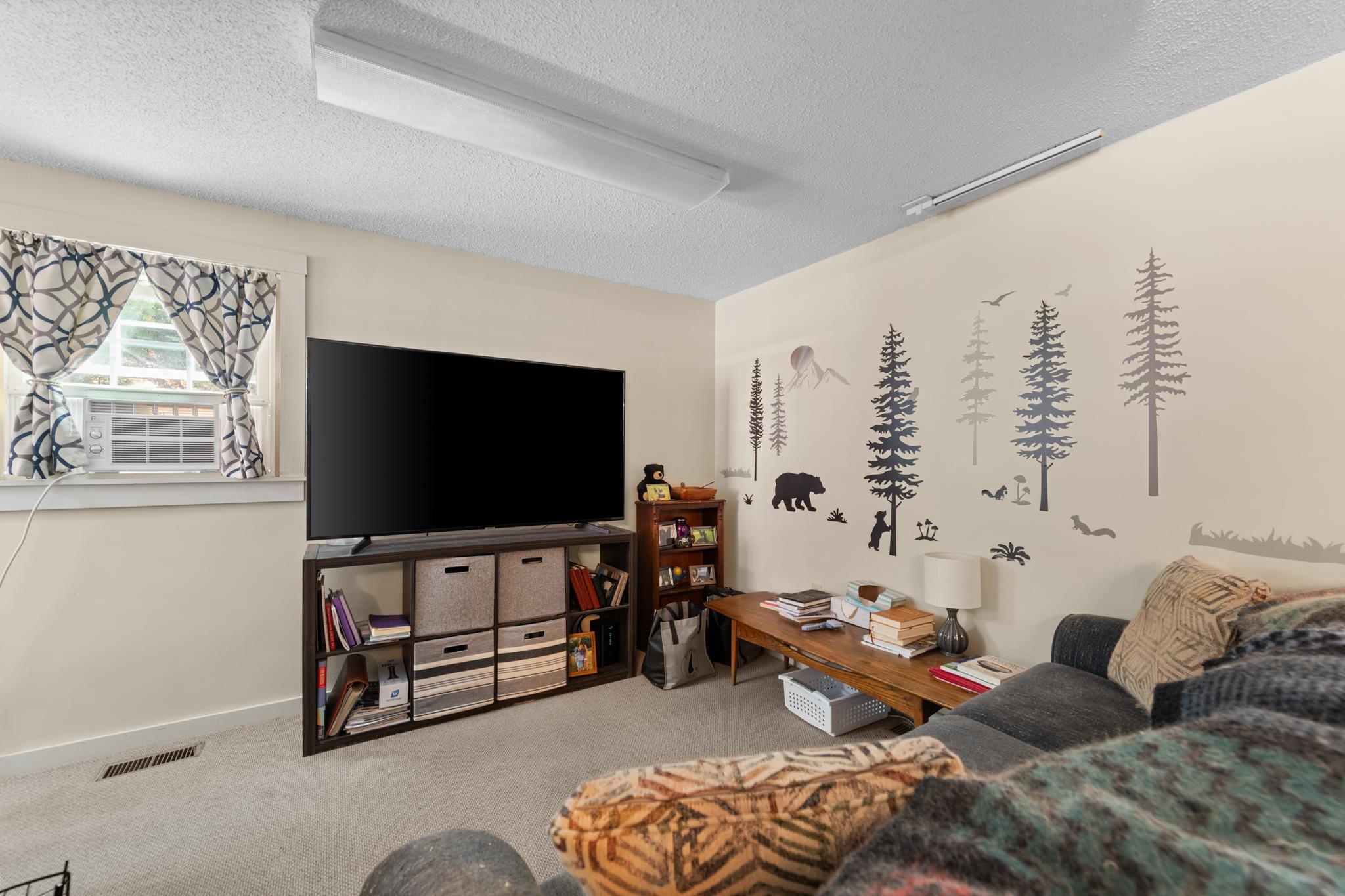 65 Summer St, Bristol, NH 03222