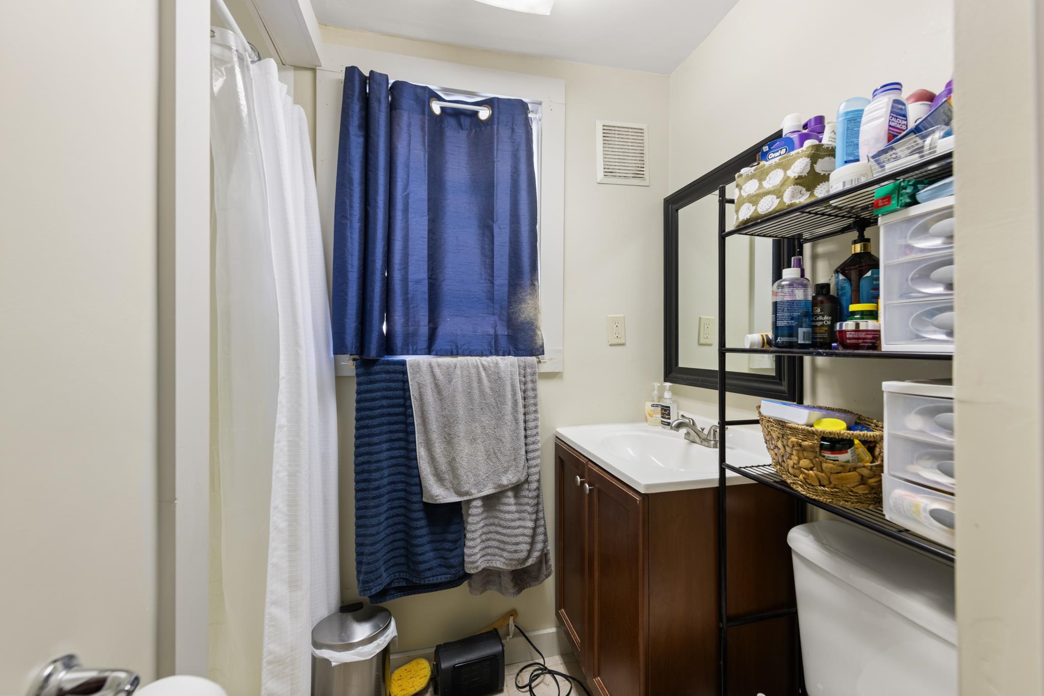 65 Summer St, Bristol, NH 03222