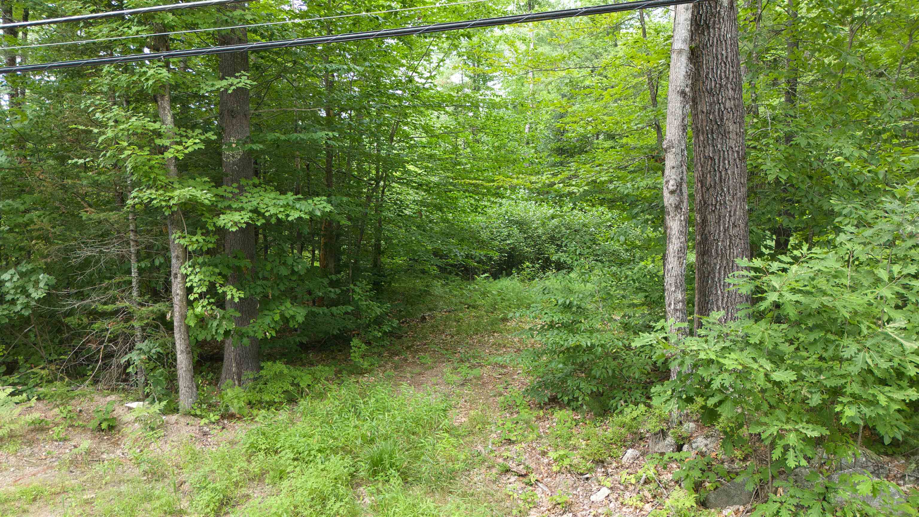 Lot 1,2,3 Colcord Road, Effingham, NH photo 3
