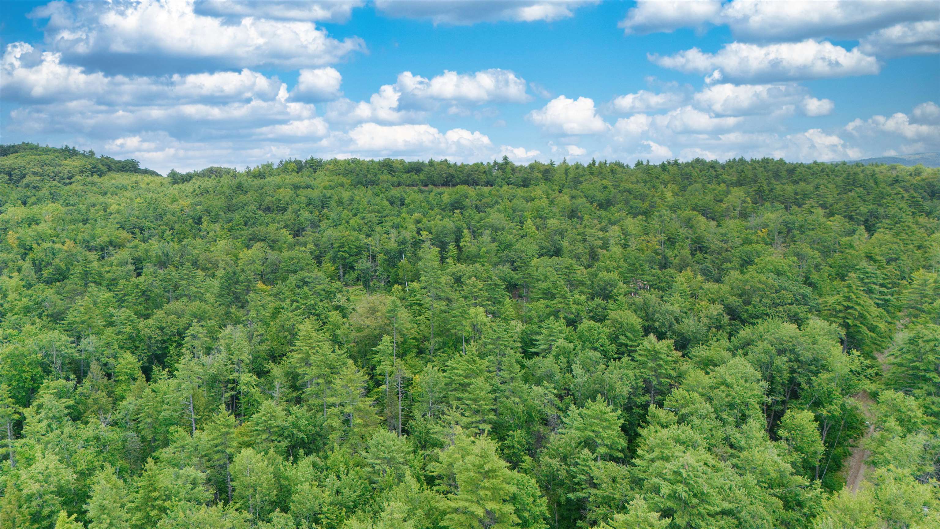 Colcord Rd, Effingham, NH 03882