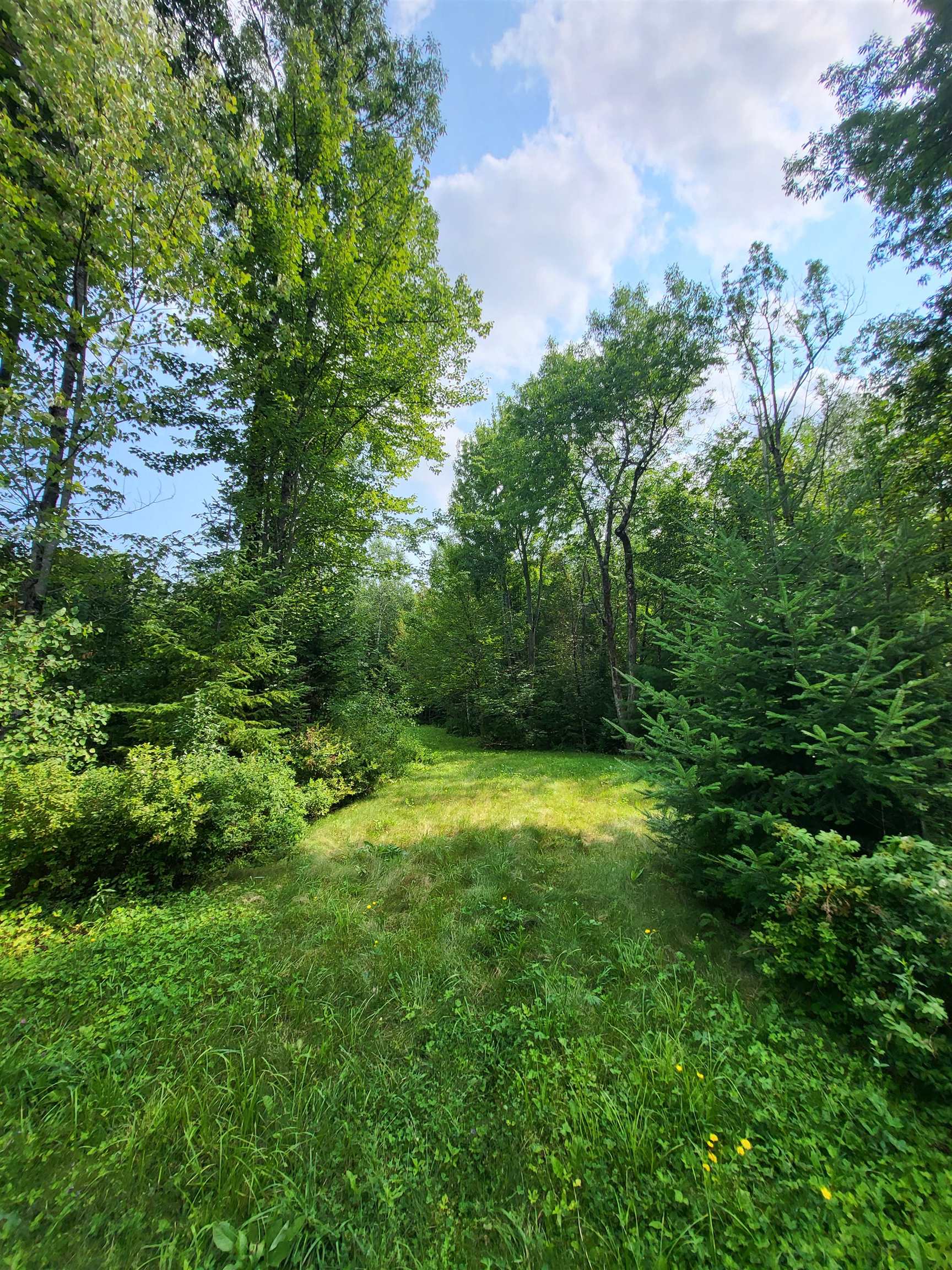 Noyes St, Bethlehem, NH 03574