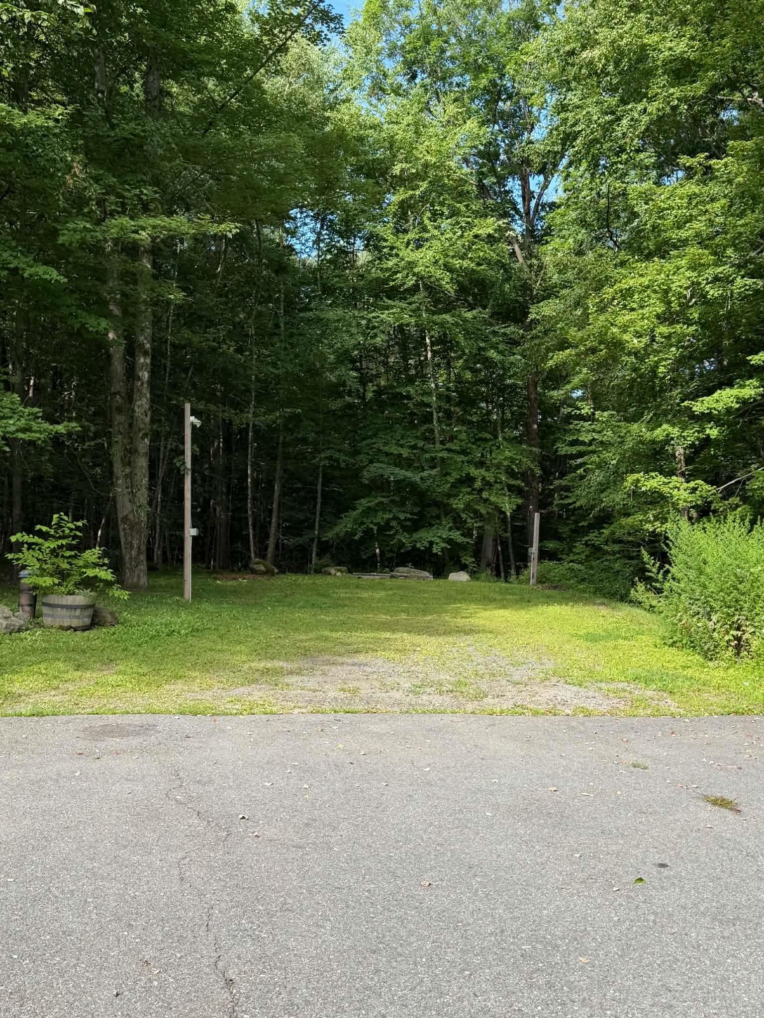  25967124
