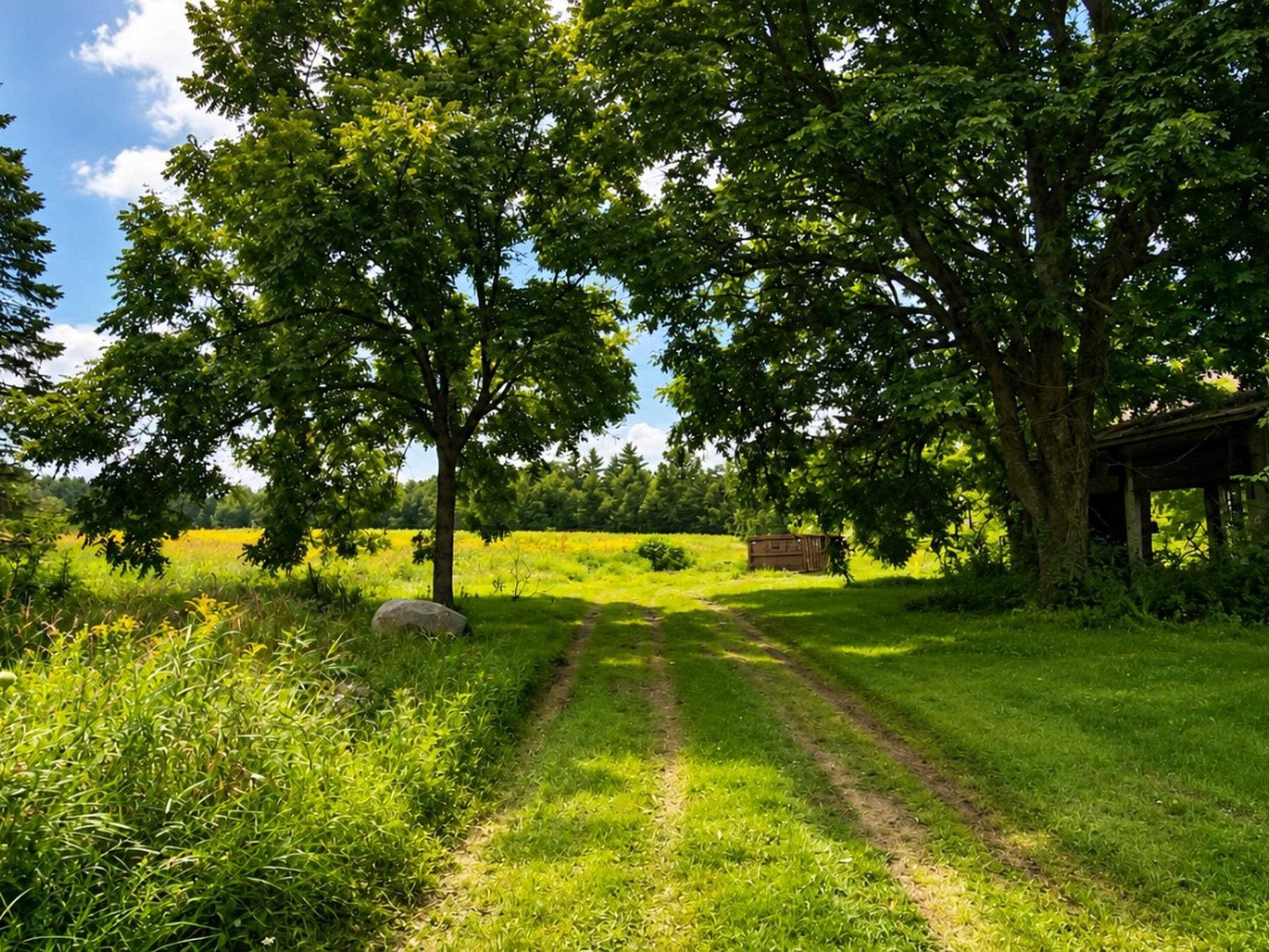 194 Center Hill Rd, Epsom, NH 03234