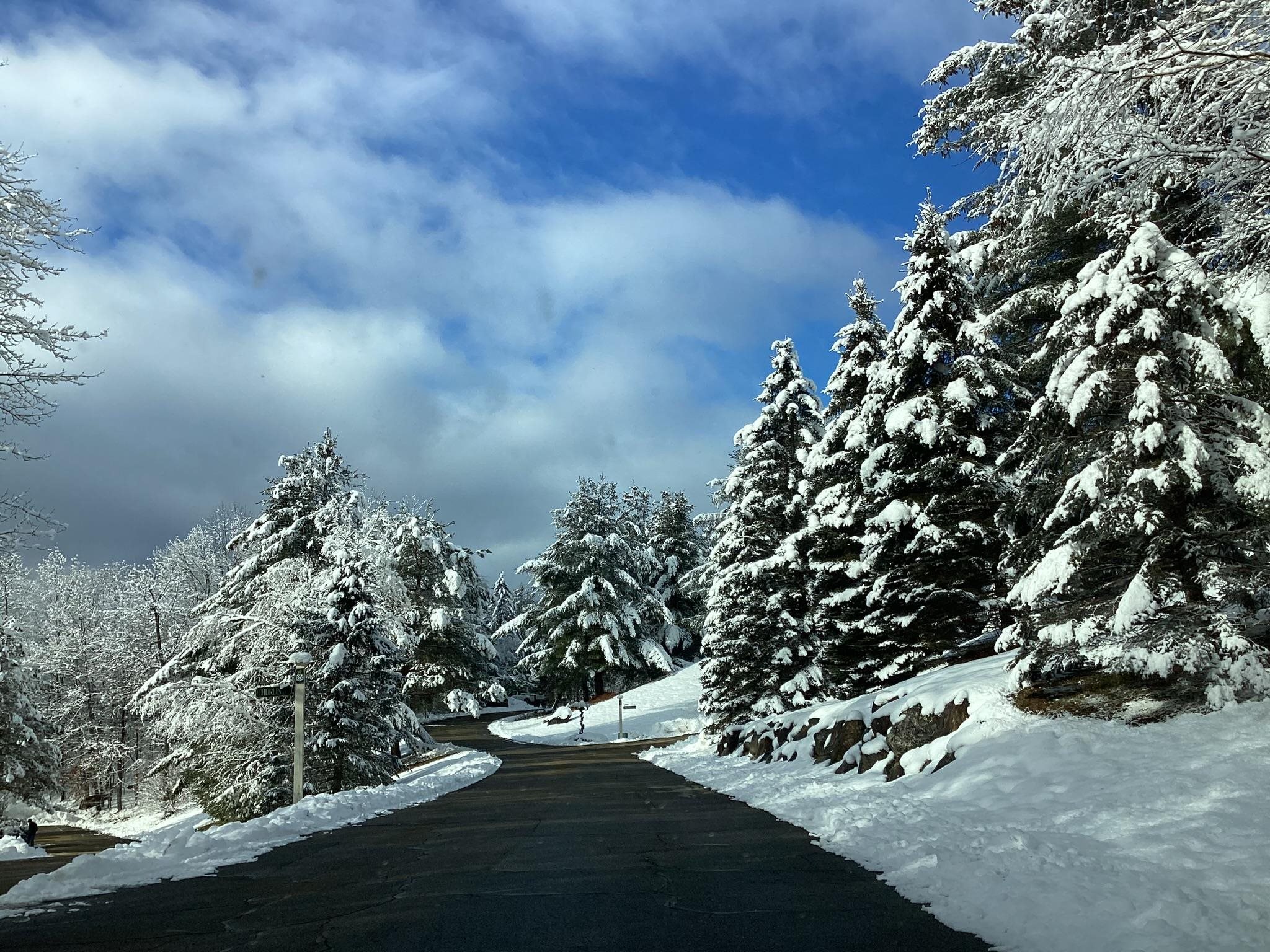 Fresh Snow on Wentworth Hall Avenue