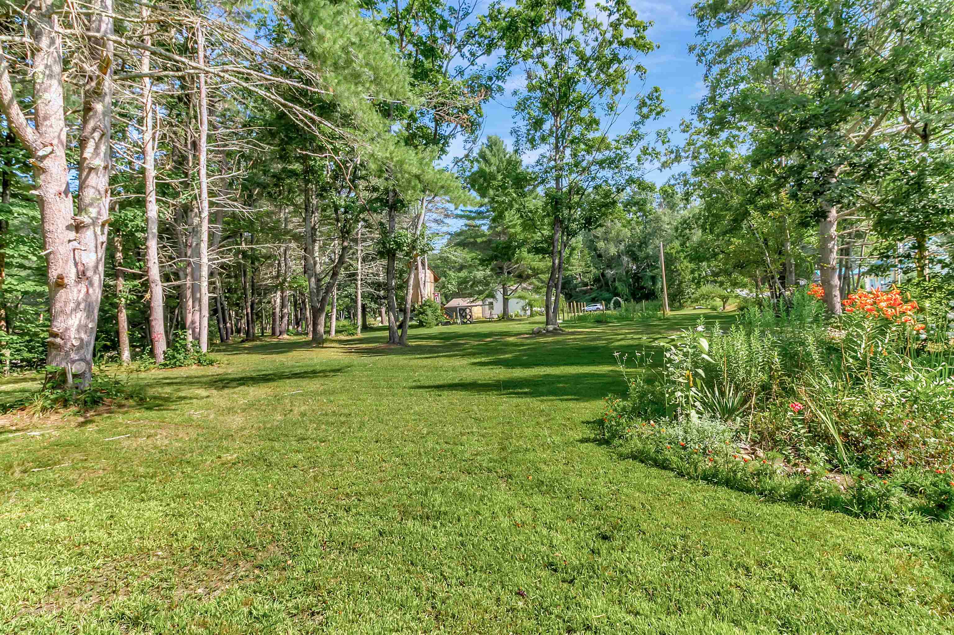 Open yard space 25968799