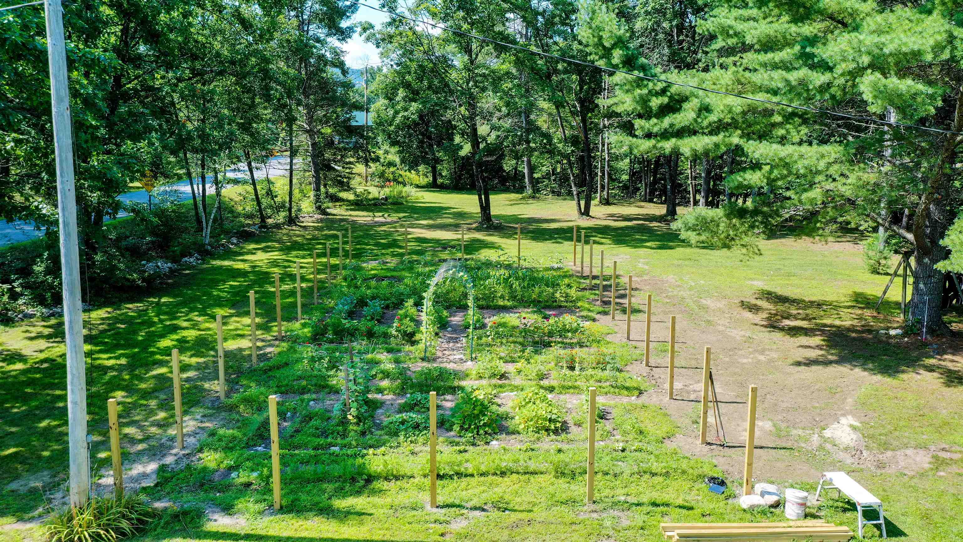 Large area for gardening 25968928