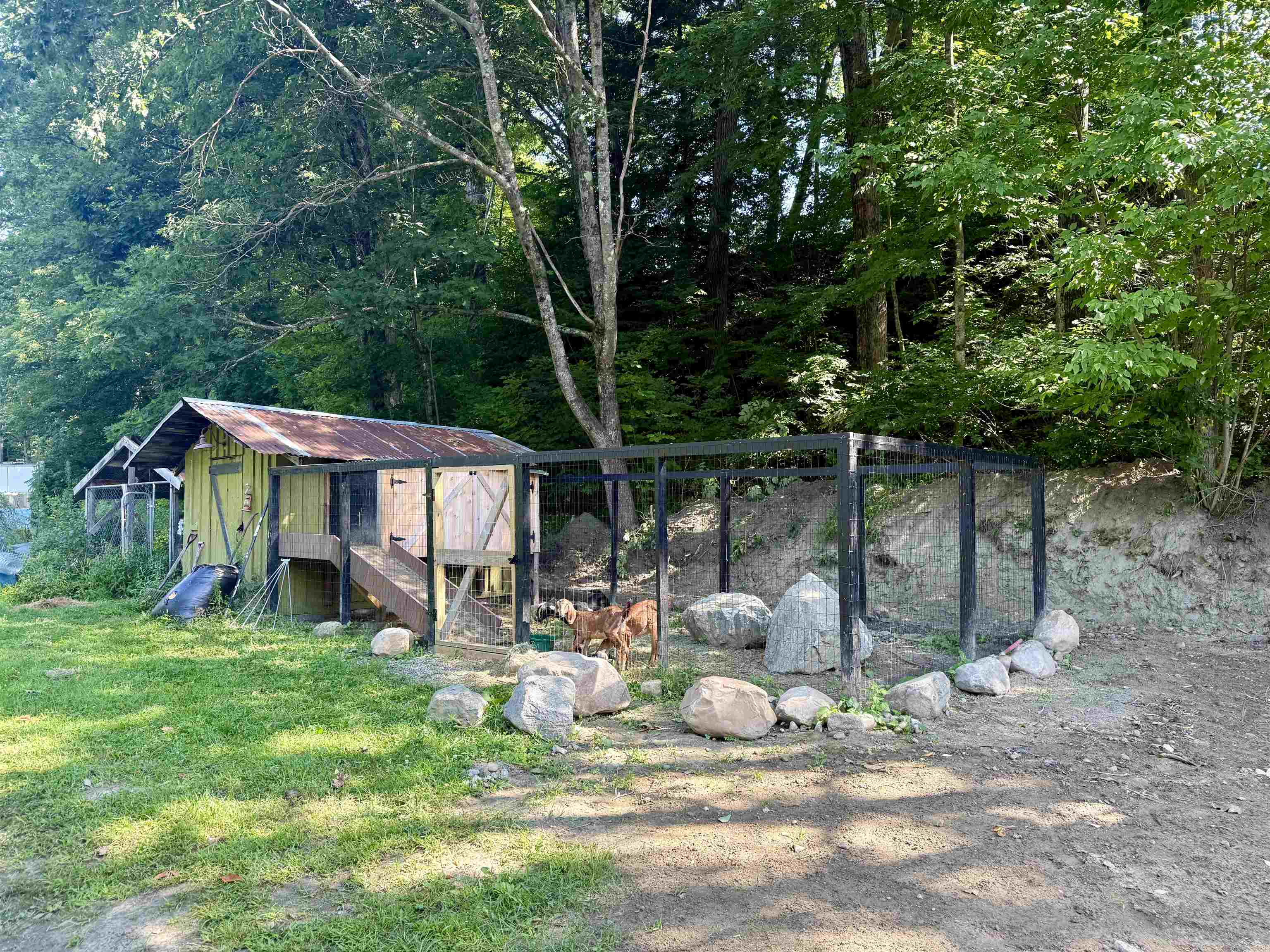 An animal coop great for goats or chickens! 25968803