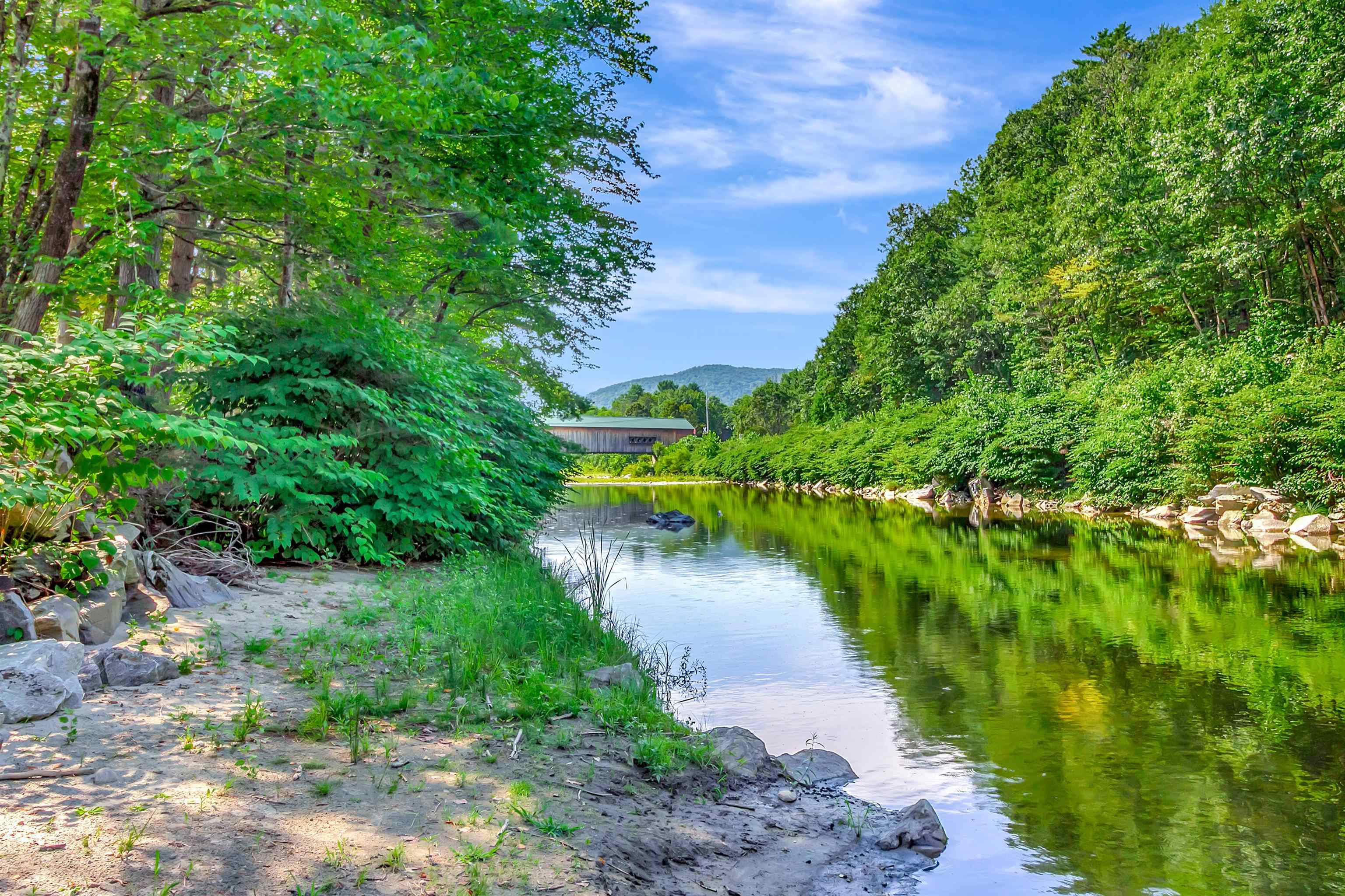 Enjoy swimming and floating in the Williams River. 25968804