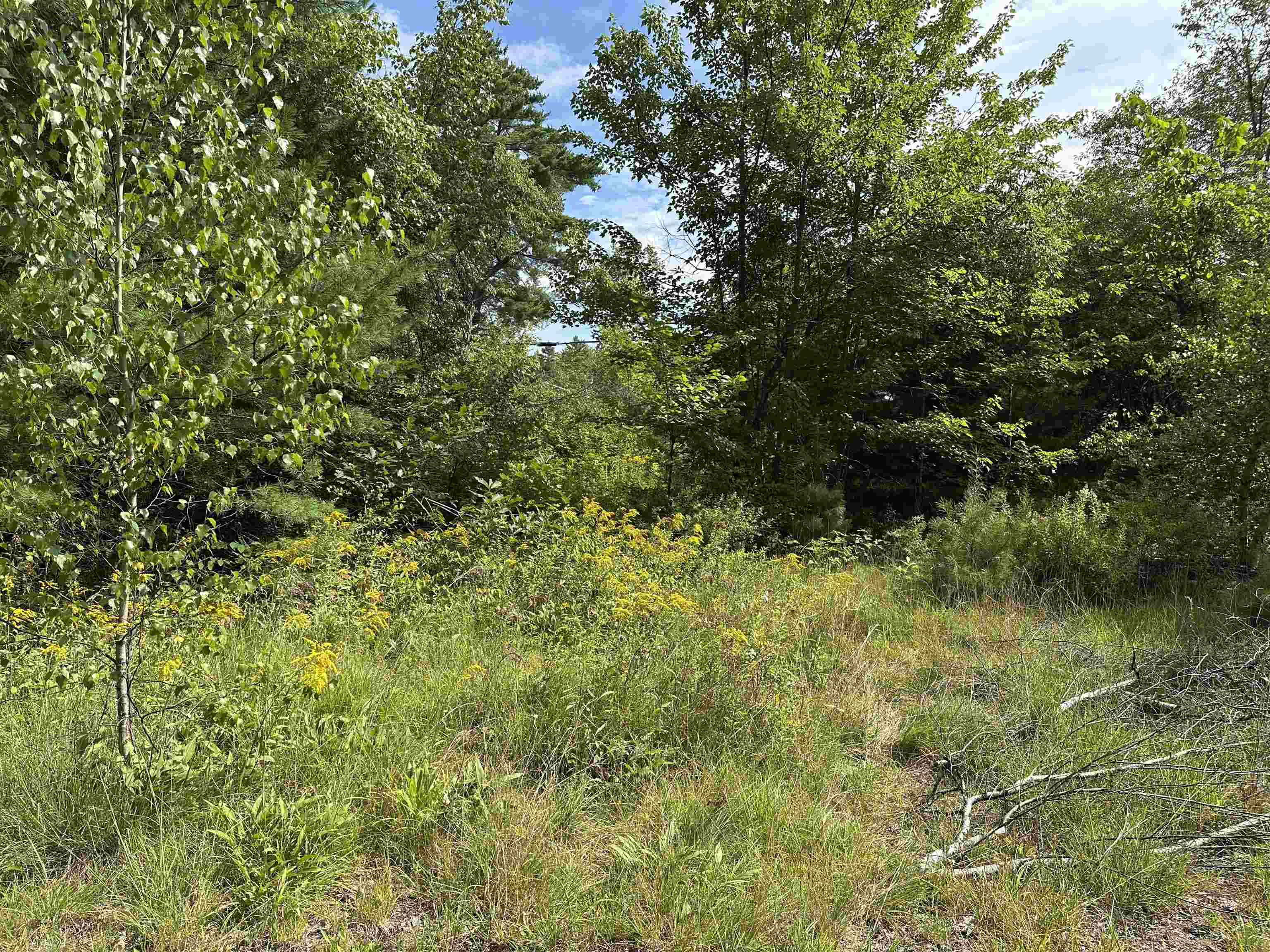 00 Main St, Grafton, NH 03240