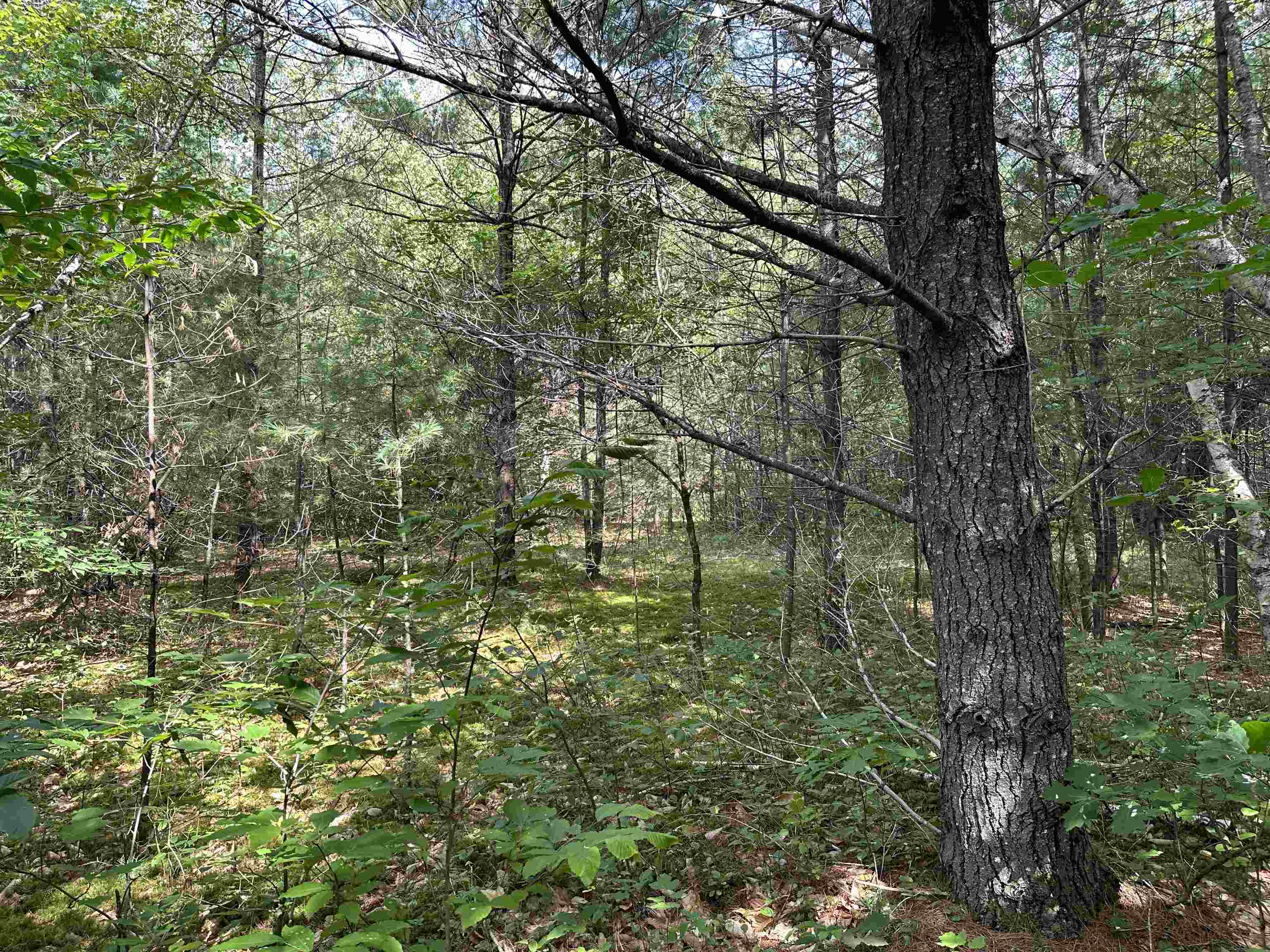 00 Main St, Grafton, NH 03240