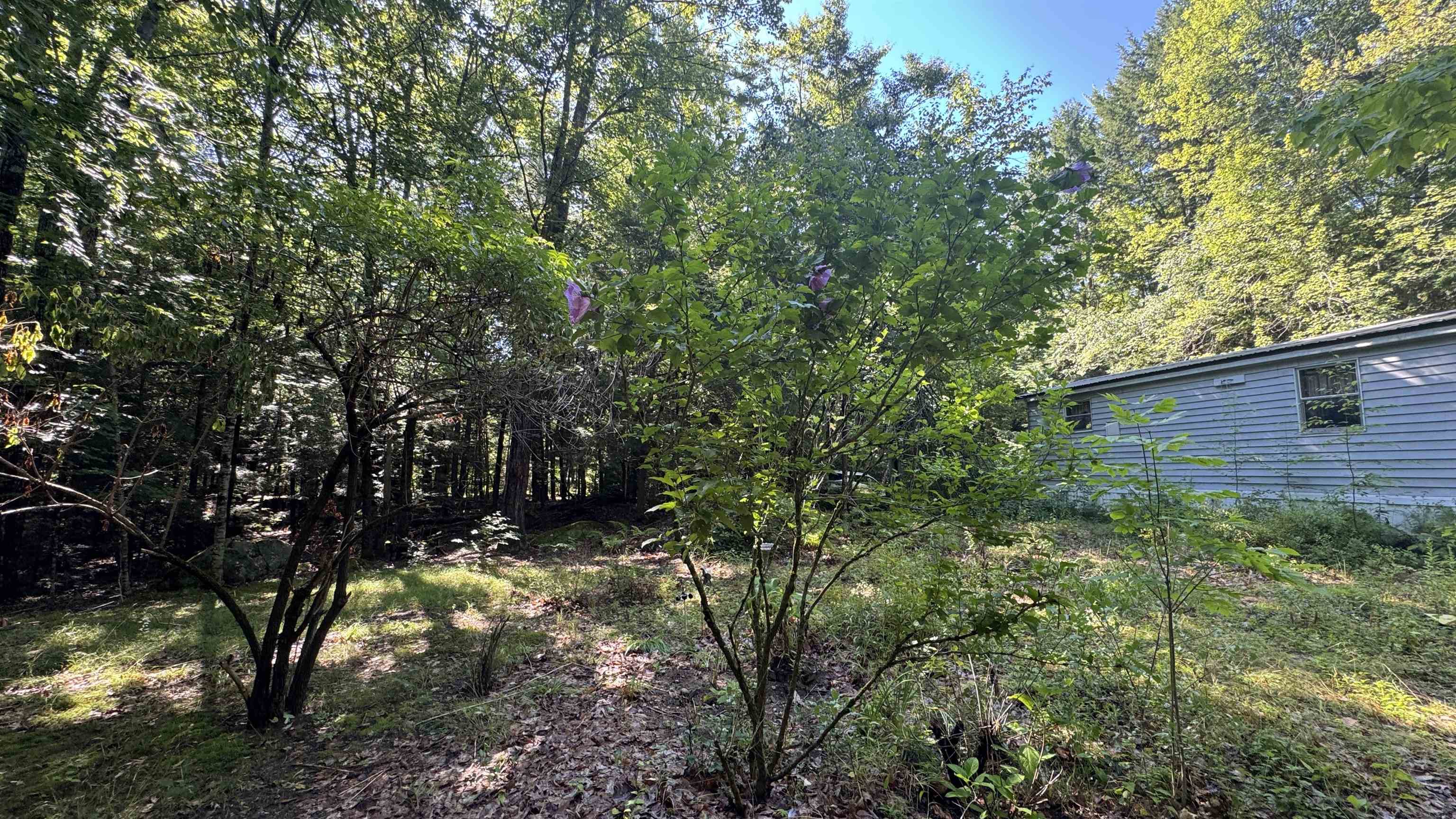 78 Valley Rd, New Durham, NH 03855