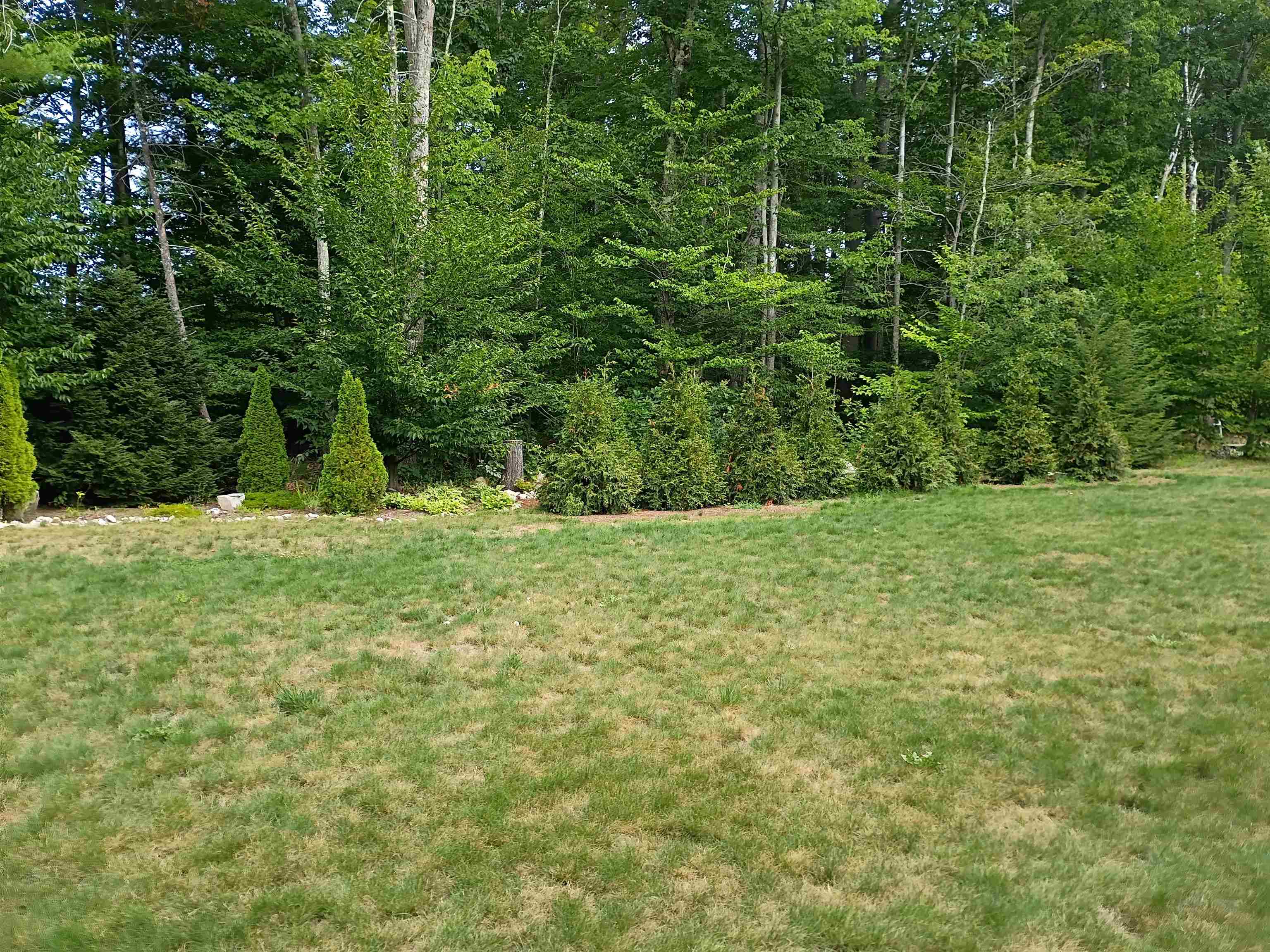 19 Saco St #3, Conway, NH 03813