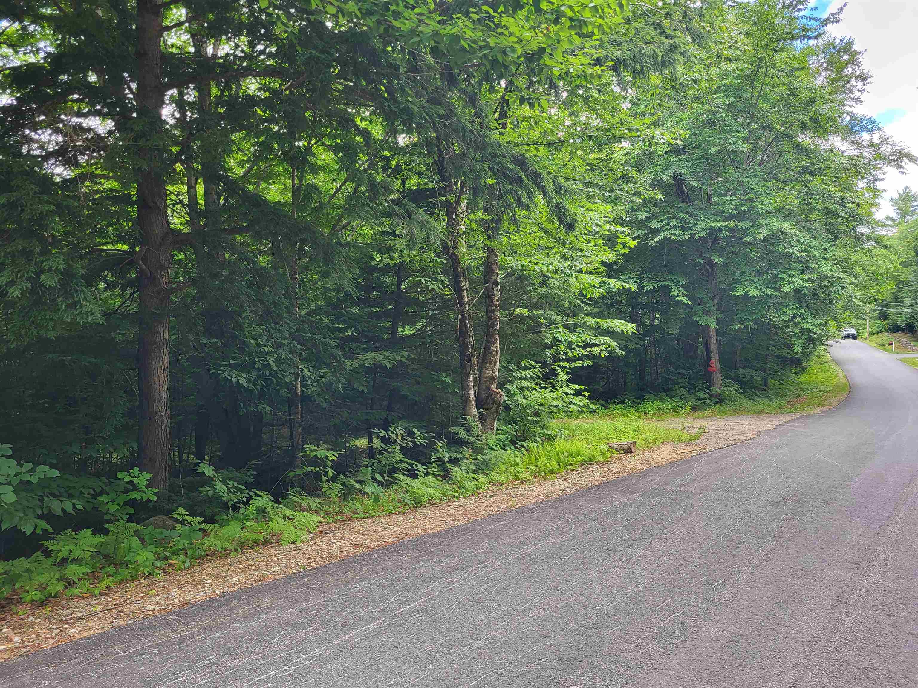 Lot 2 Bear Mountain Rd, Hebron, NH 03241