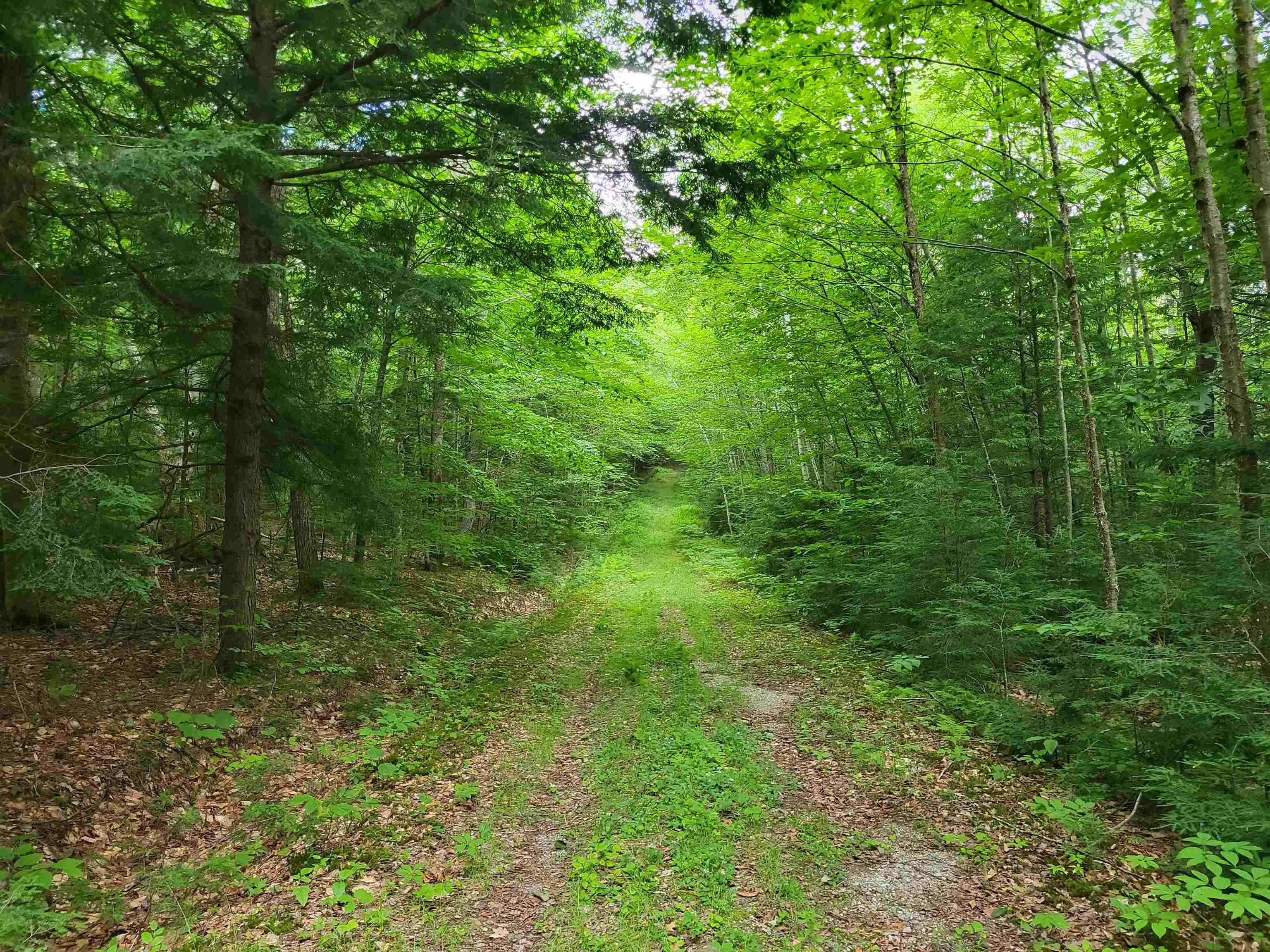 Lot 2 Bear Mountain Rd, Hebron, NH 03241