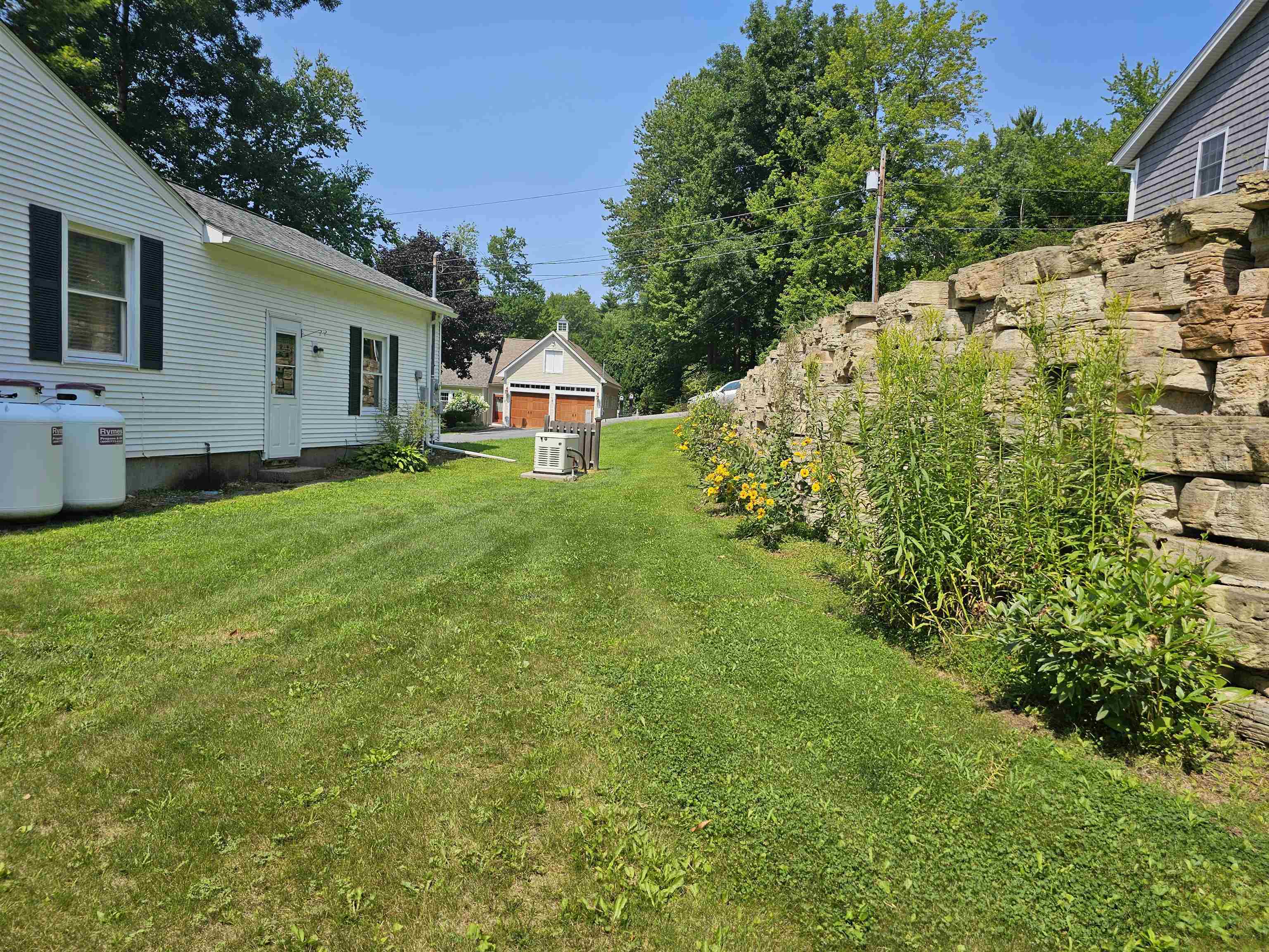 Side yard with plants 25965969