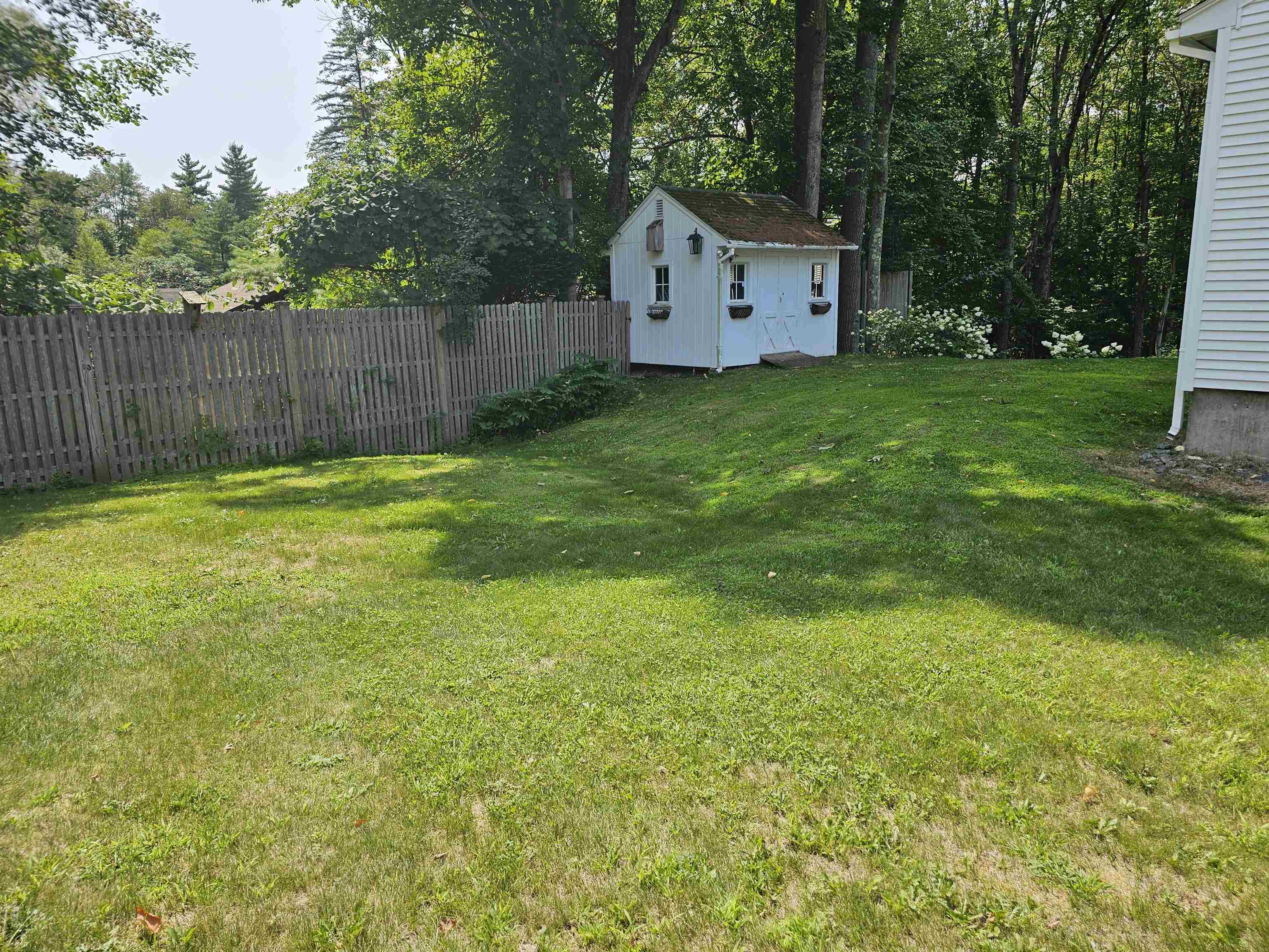 Back yard w/ shed 25965968