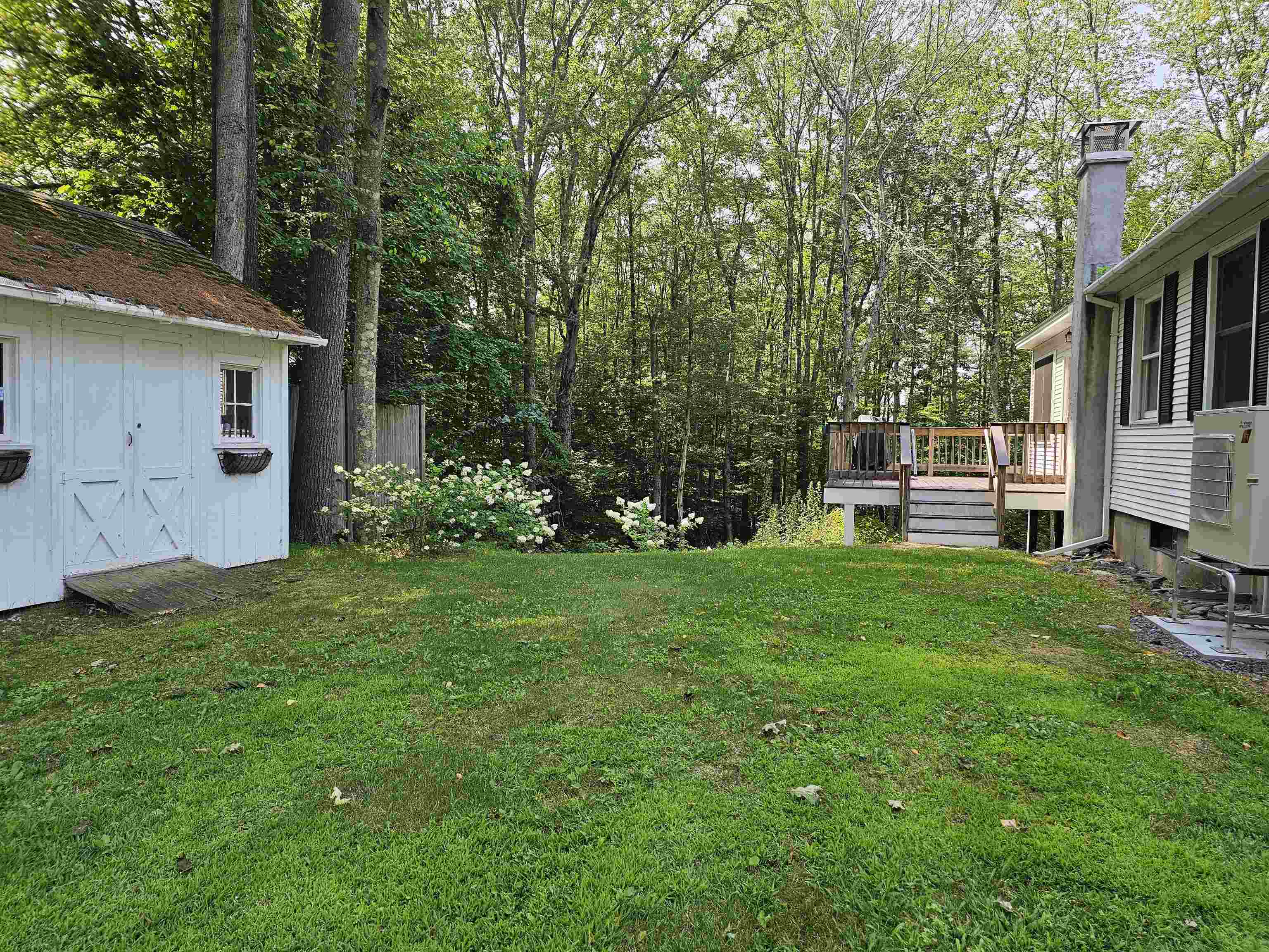 2nd view of back yard 25965971