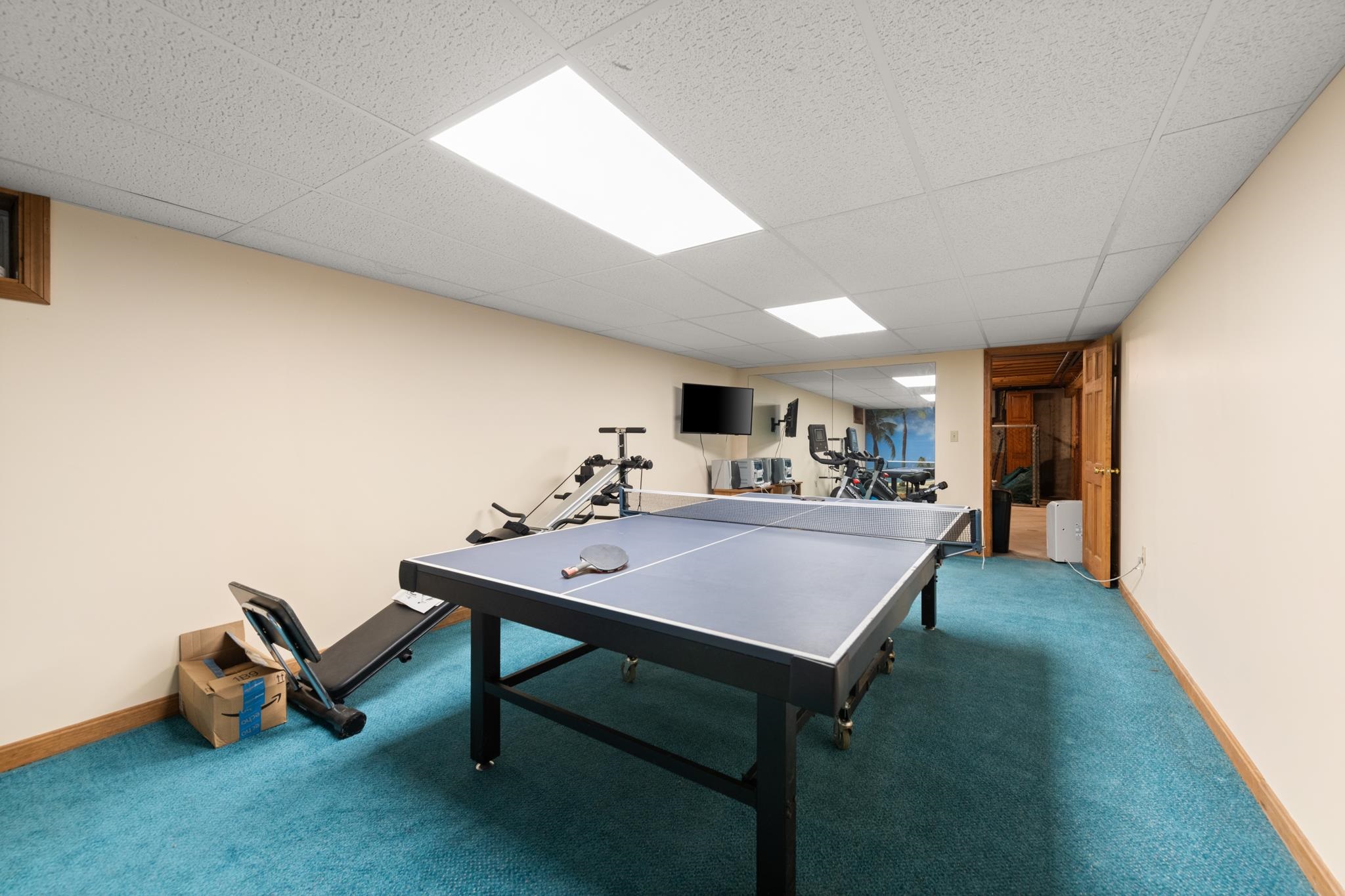 Basement Rec Room
