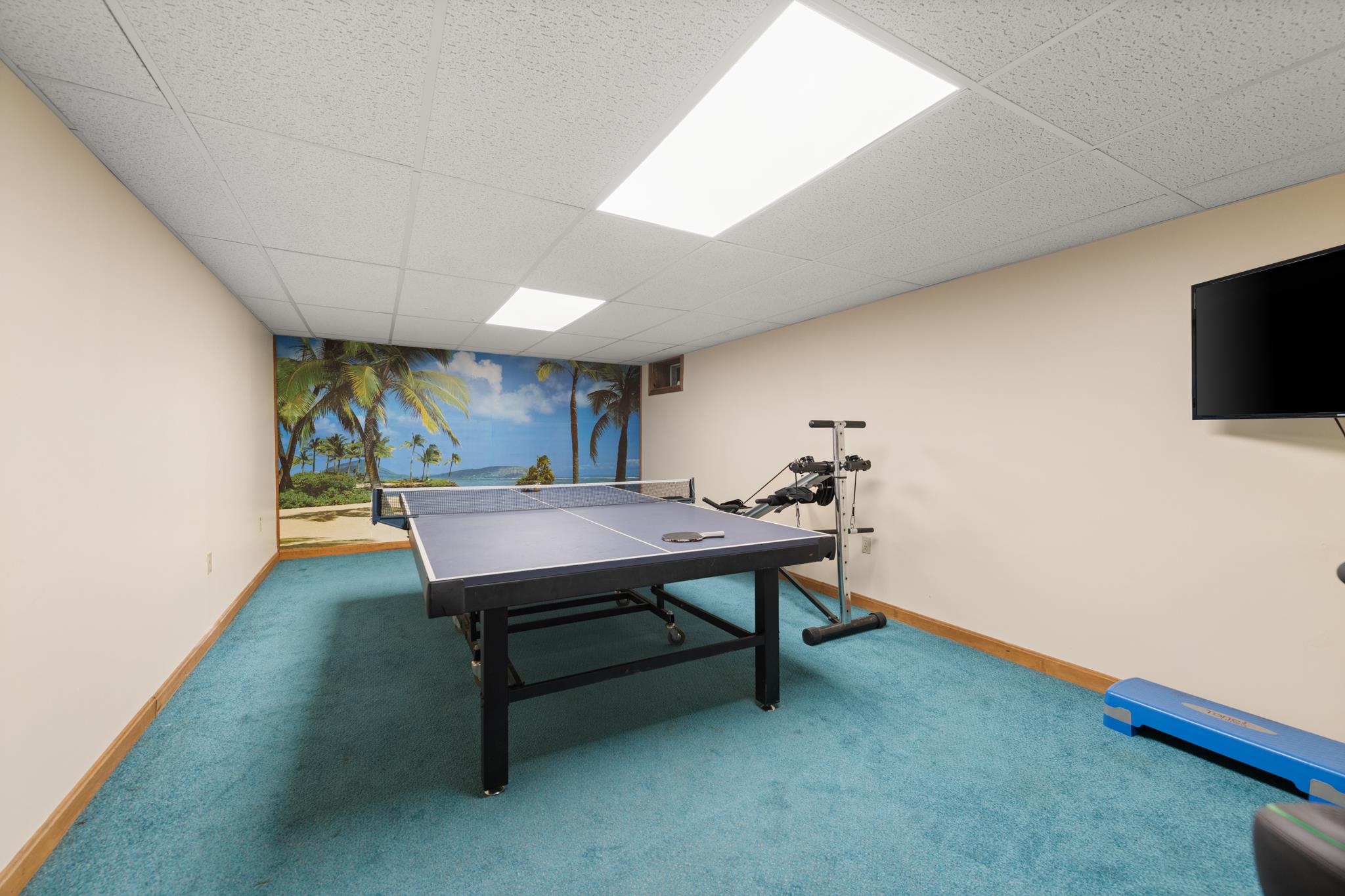 Rec Room in Basement