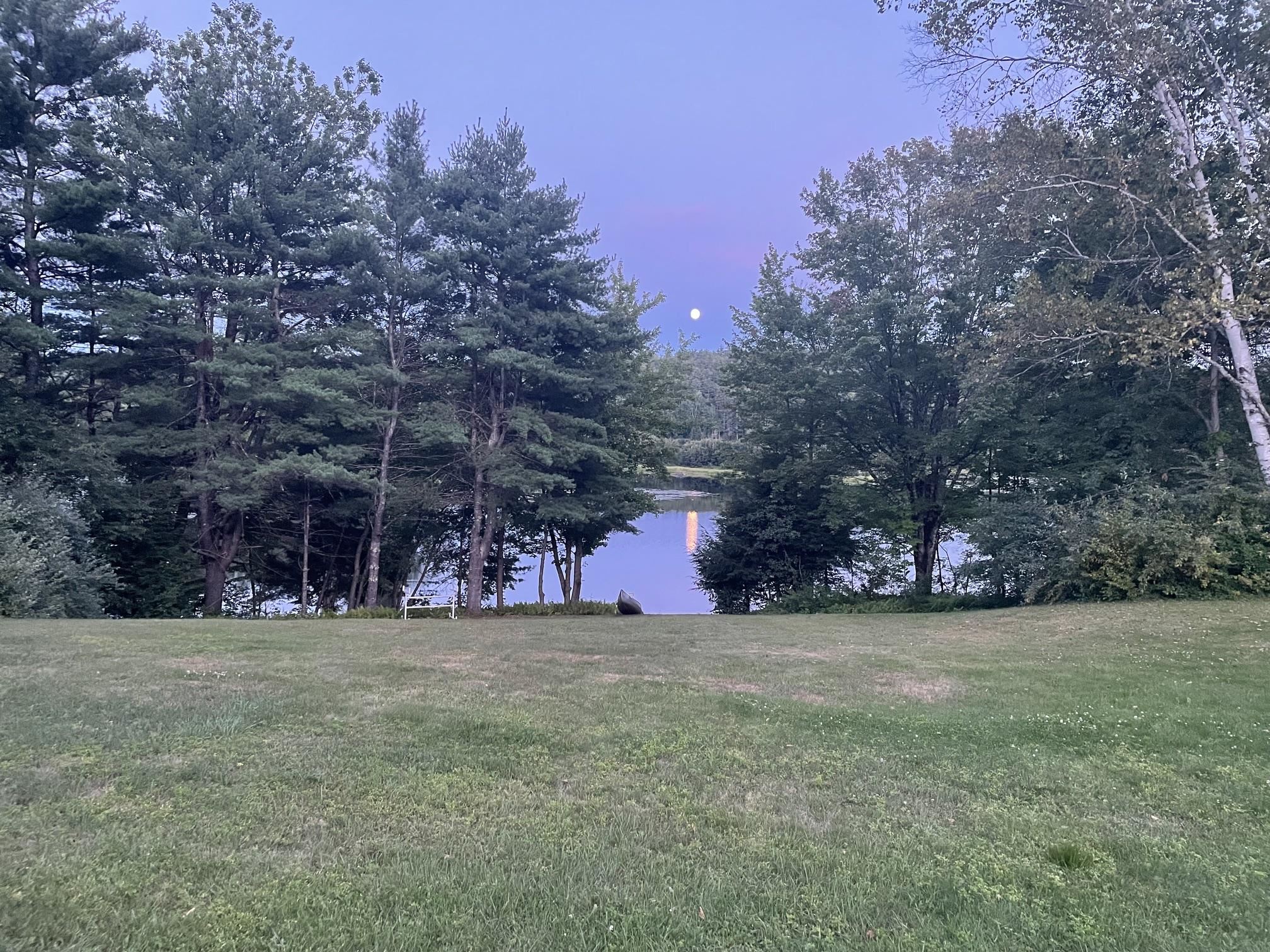 View from Back Yard