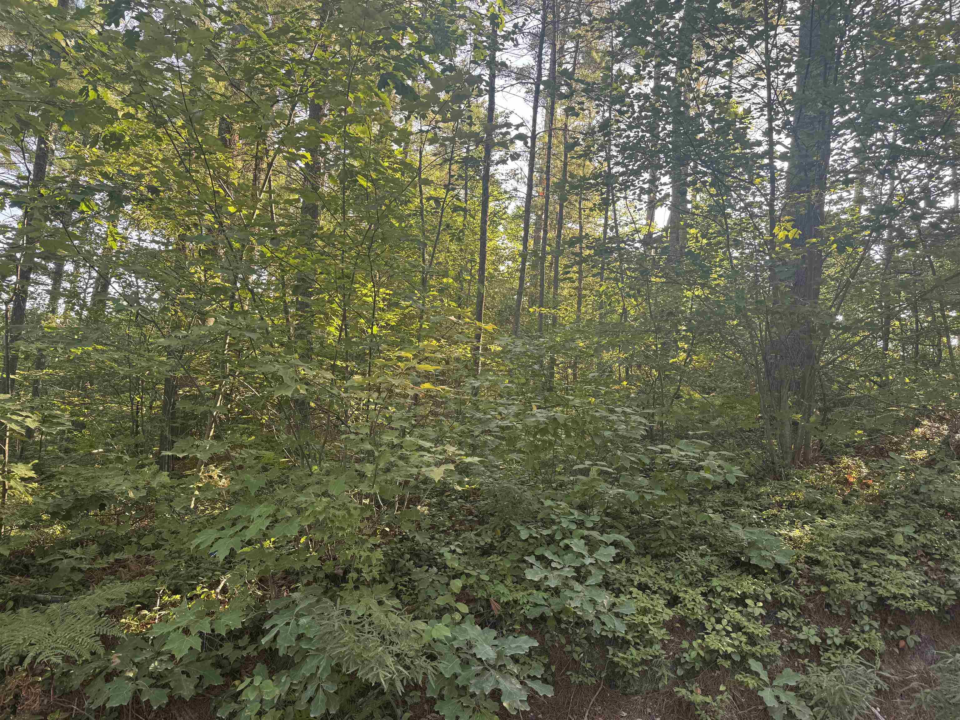 5 John Hodsdon Rd, Ossipee, NH 03864