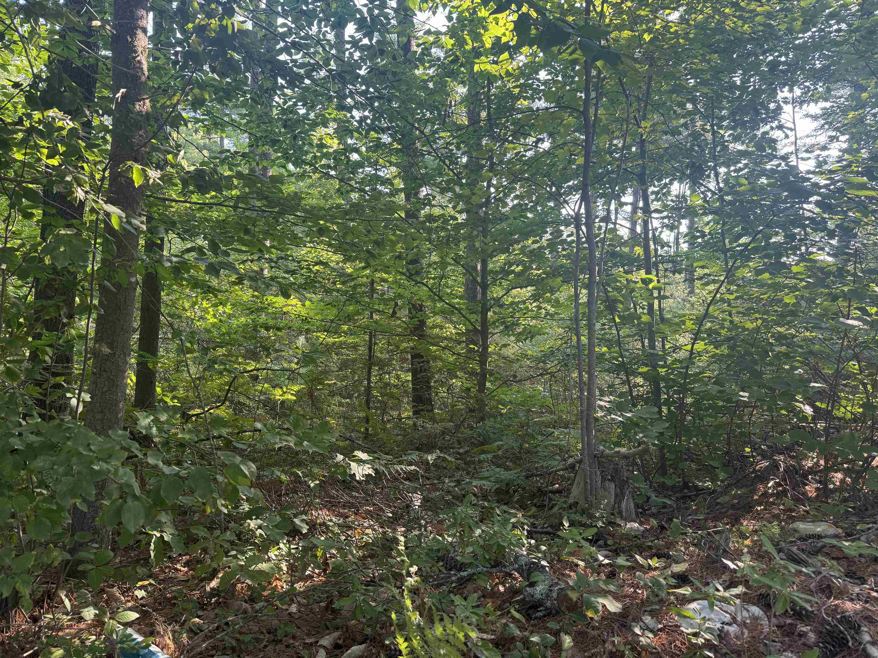 5 John Hodsdon Rd, Ossipee, NH 03864