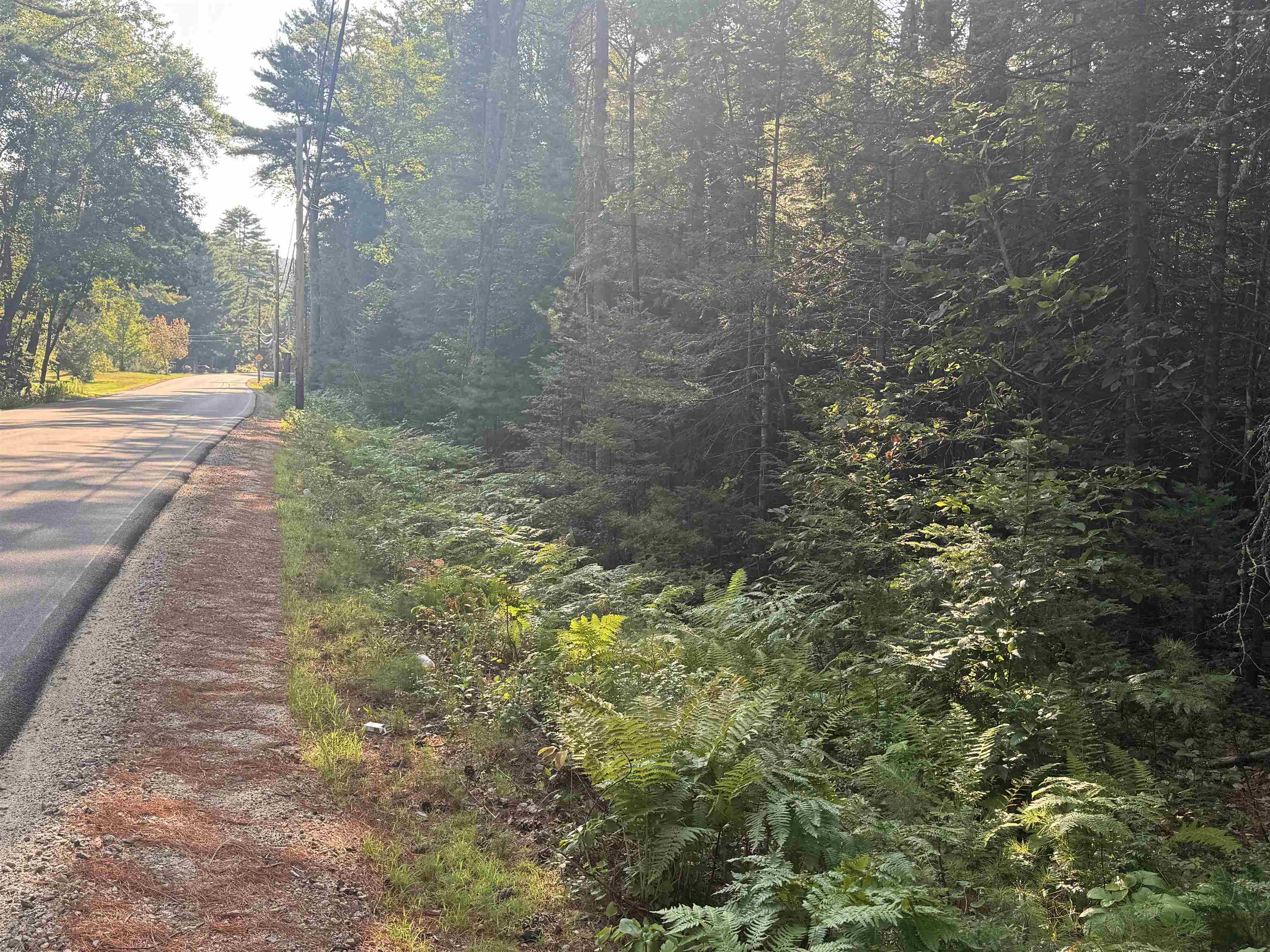 5 John Hodsdon Rd, Ossipee, NH 03864