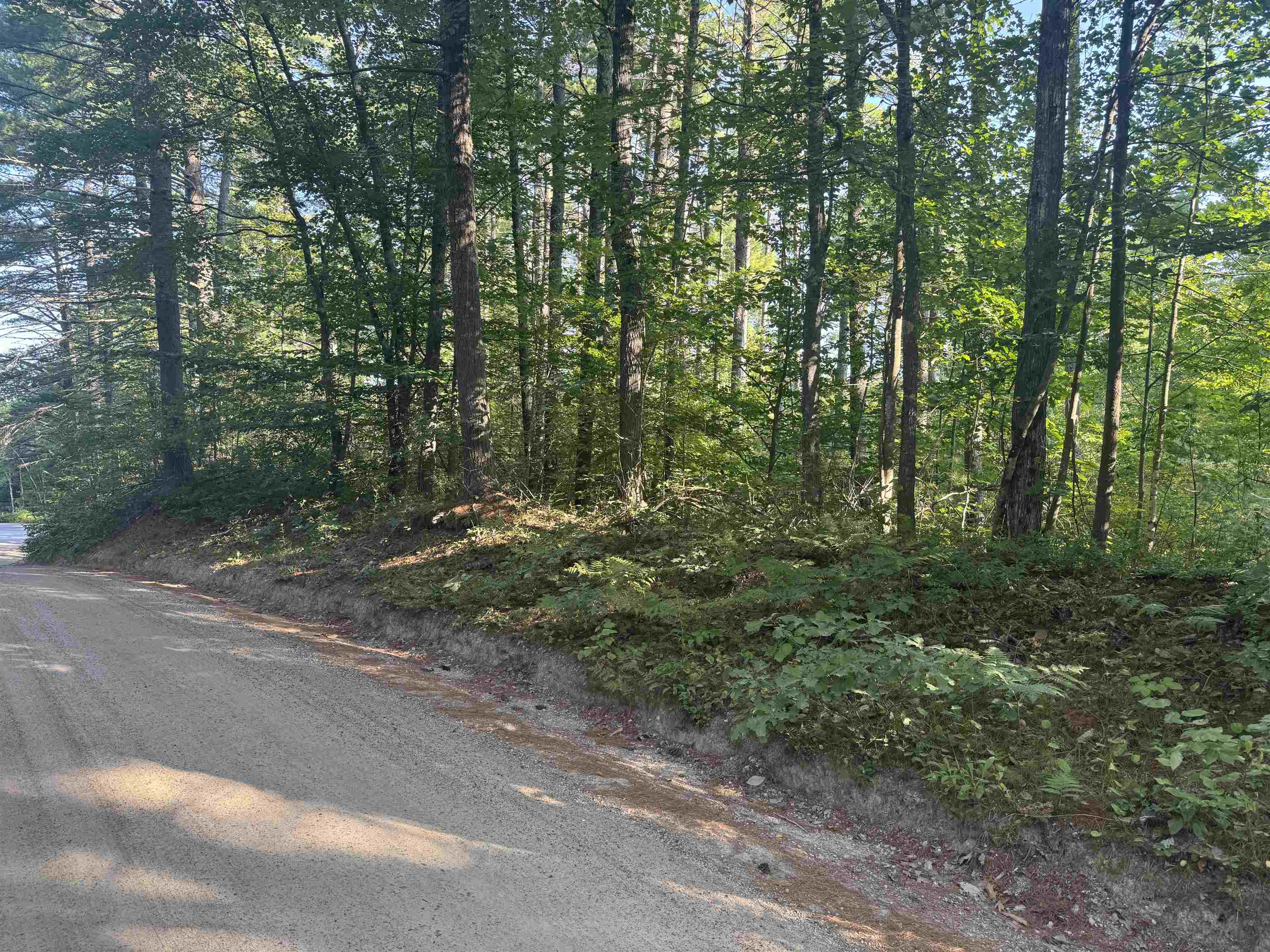 Gravel Rd
