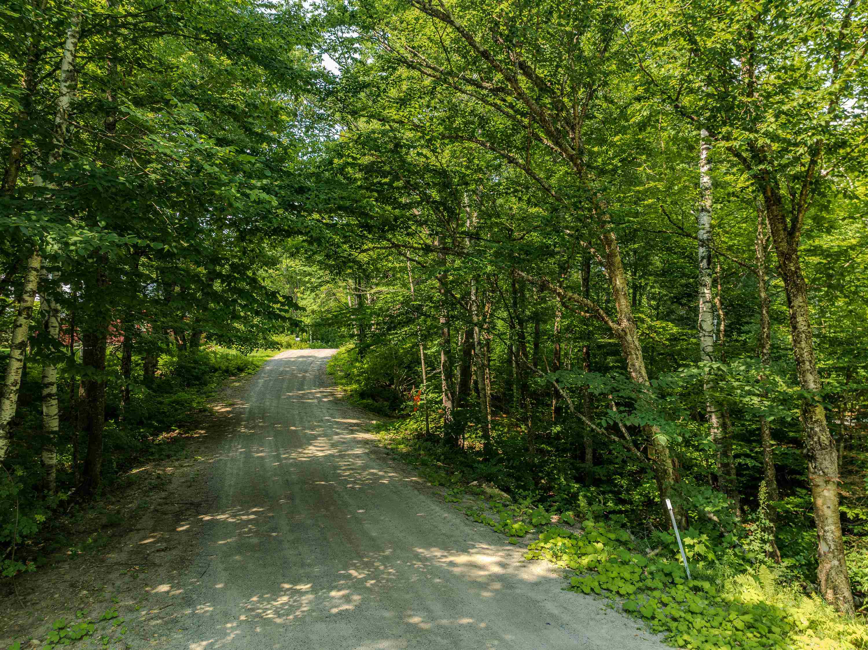 711 Gale Chandler Rd, Landaff, NH 03585