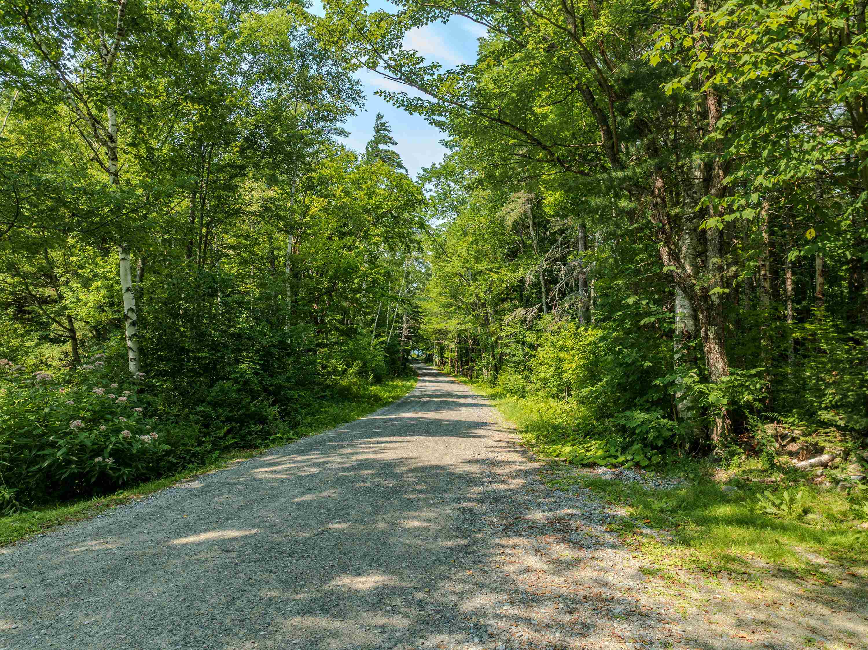 711 Gale Chandler Rd, Landaff, NH 03585