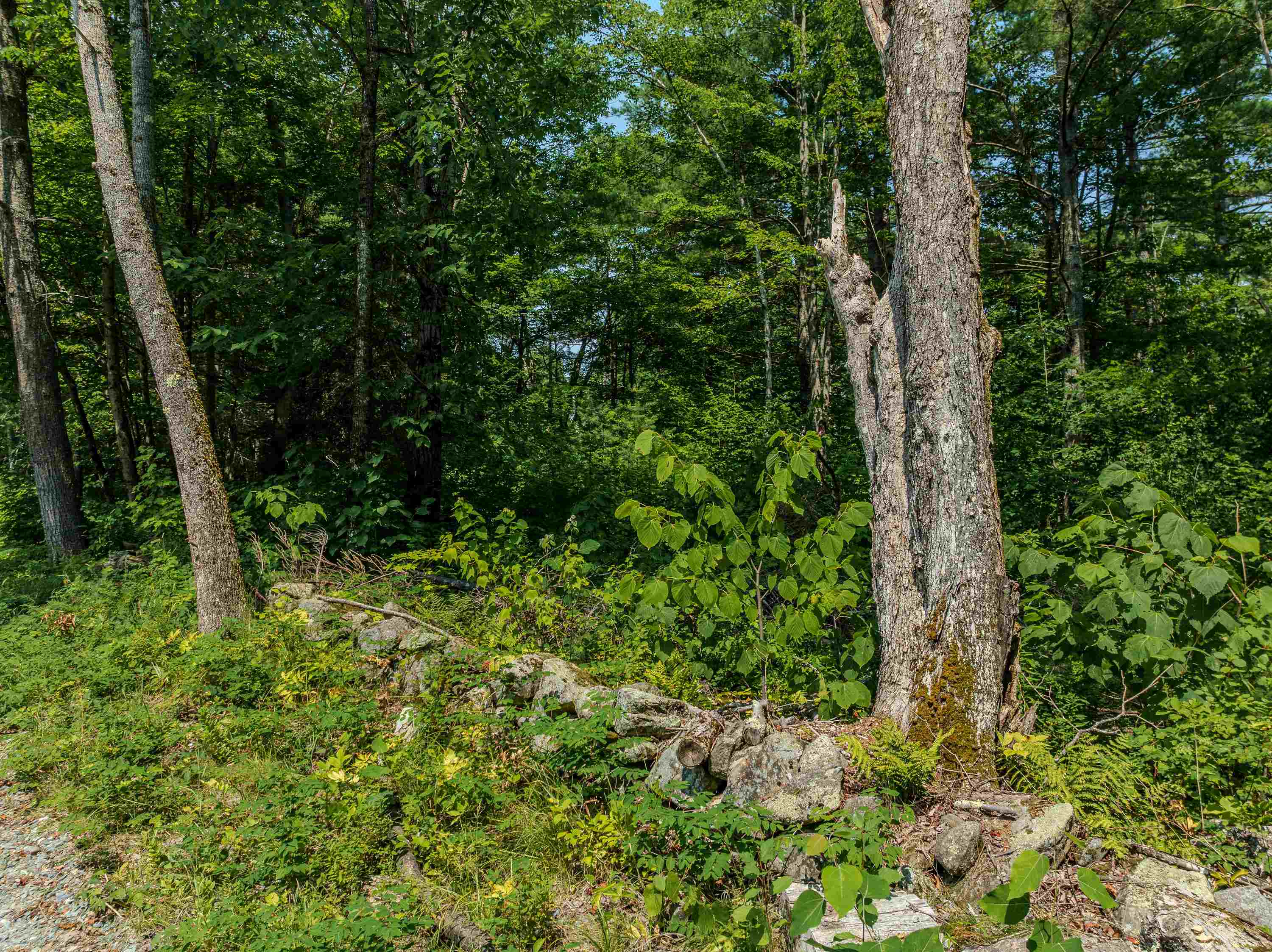 711 Gale Chandler Rd, Landaff, NH 03585