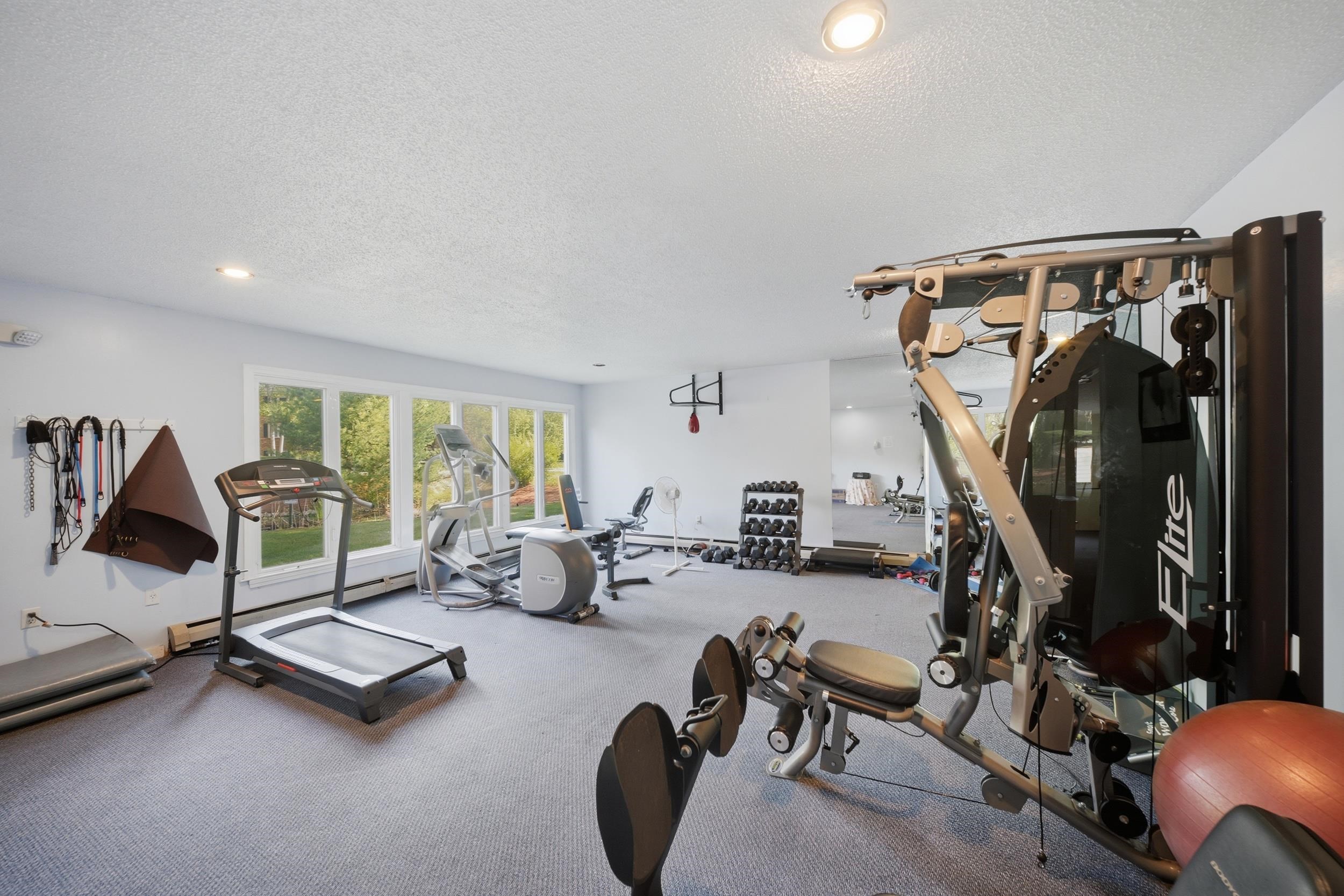 GYM 25983977