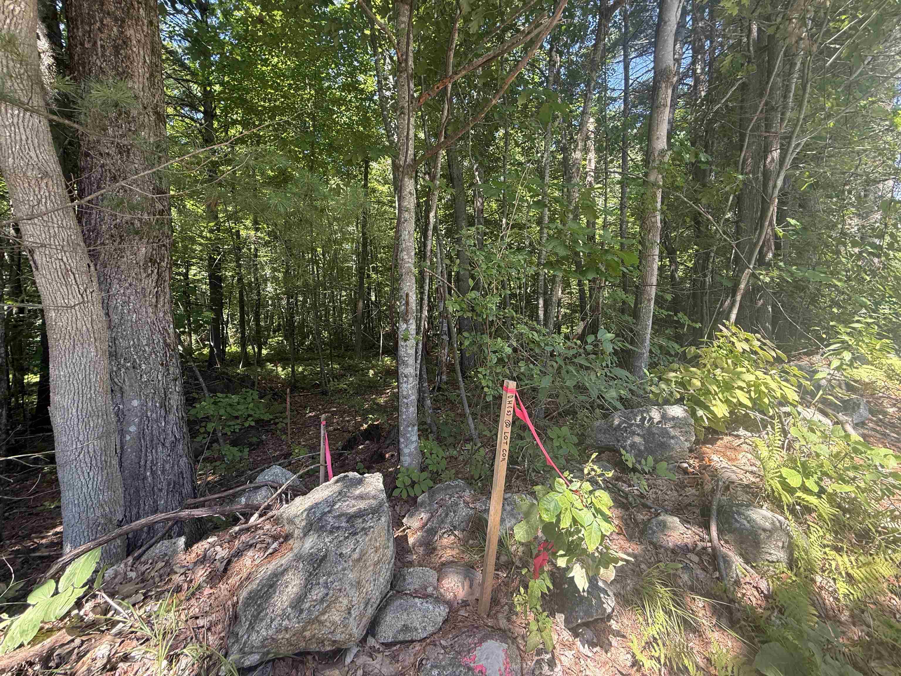 Lot 51-5-2 Ball Hill Rd, Milford, NH 03055